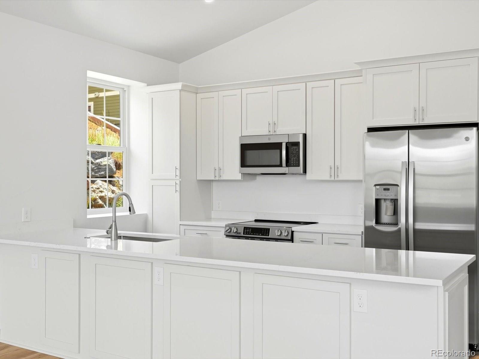 MLS Image #11 for 100  roworth street,central city, Colorado