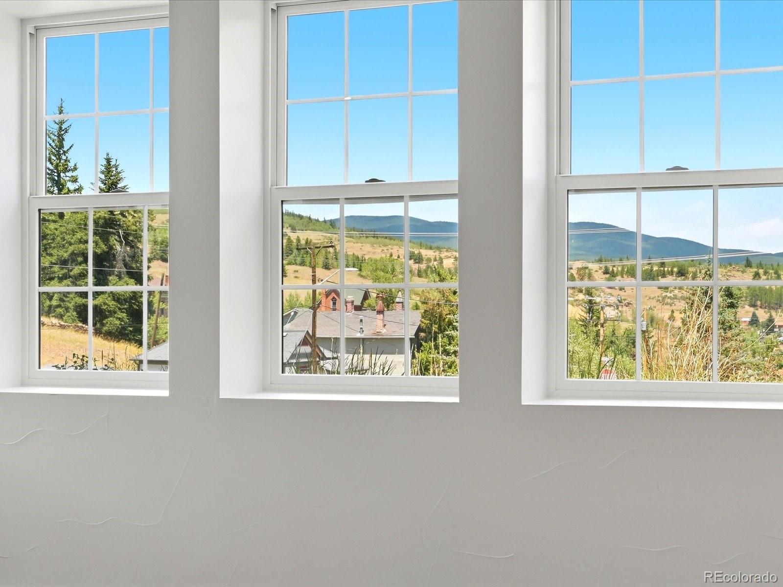 MLS Image #14 for 100  roworth street,central city, Colorado