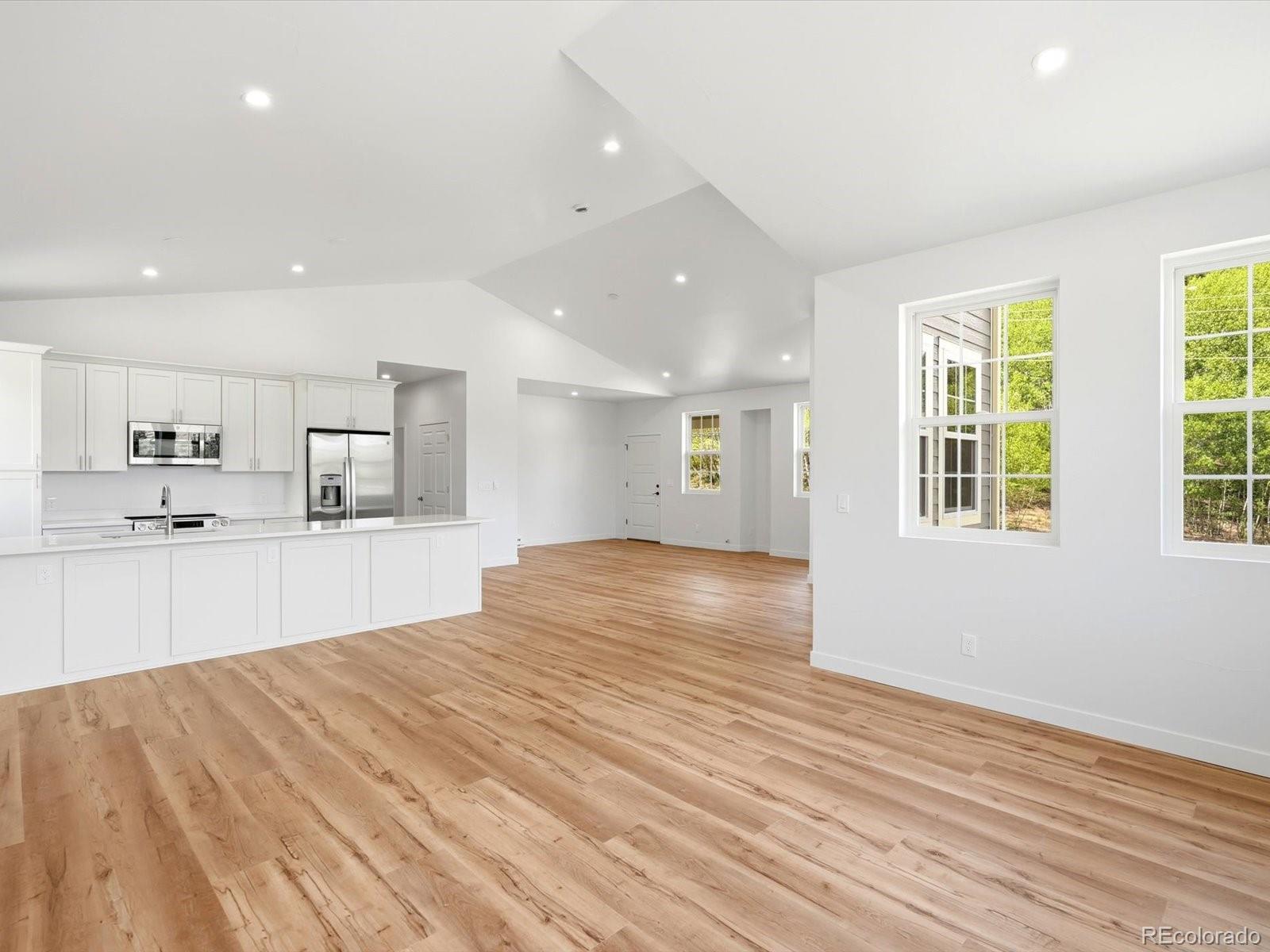 MLS Image #4 for 100  roworth street,central city, Colorado