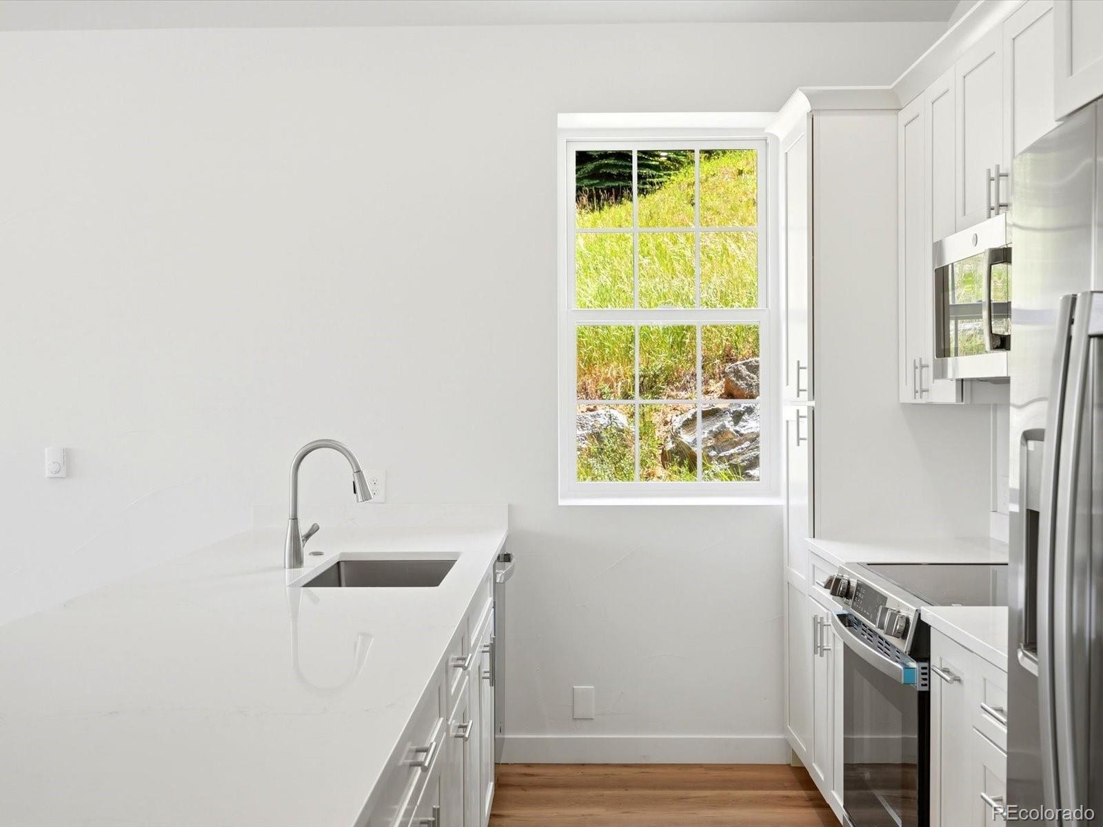 MLS Image #5 for 100  roworth street,central city, Colorado