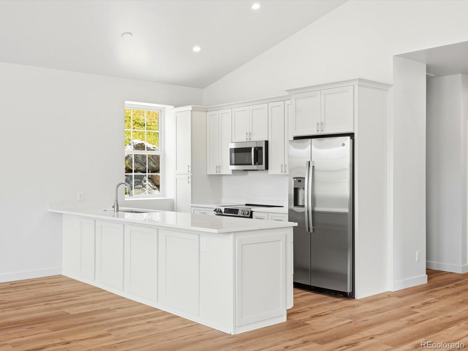 MLS Image #7 for 100  roworth street,central city, Colorado