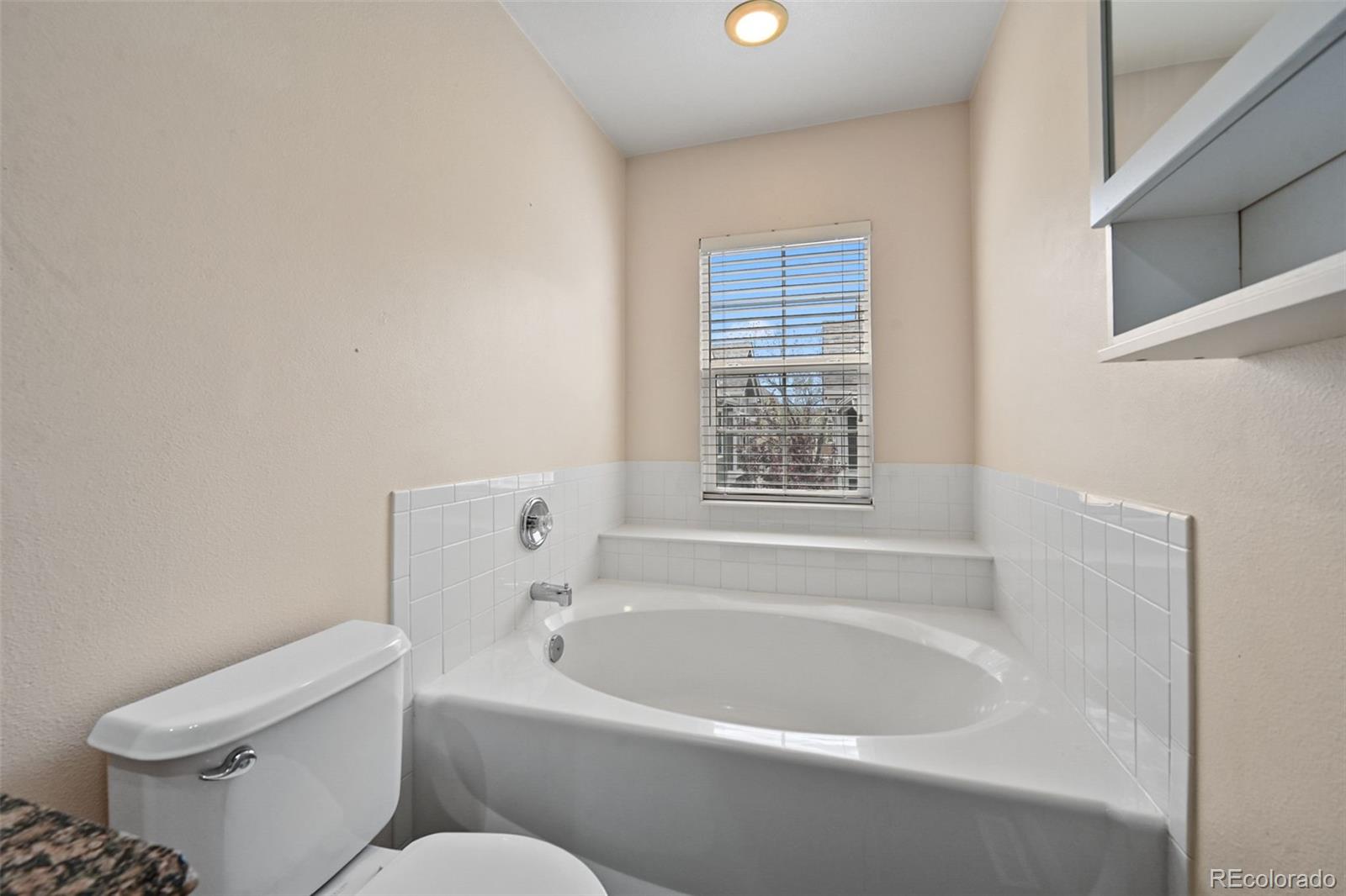 MLS Image #15 for 1252  carlyle park circle,highlands ranch, Colorado