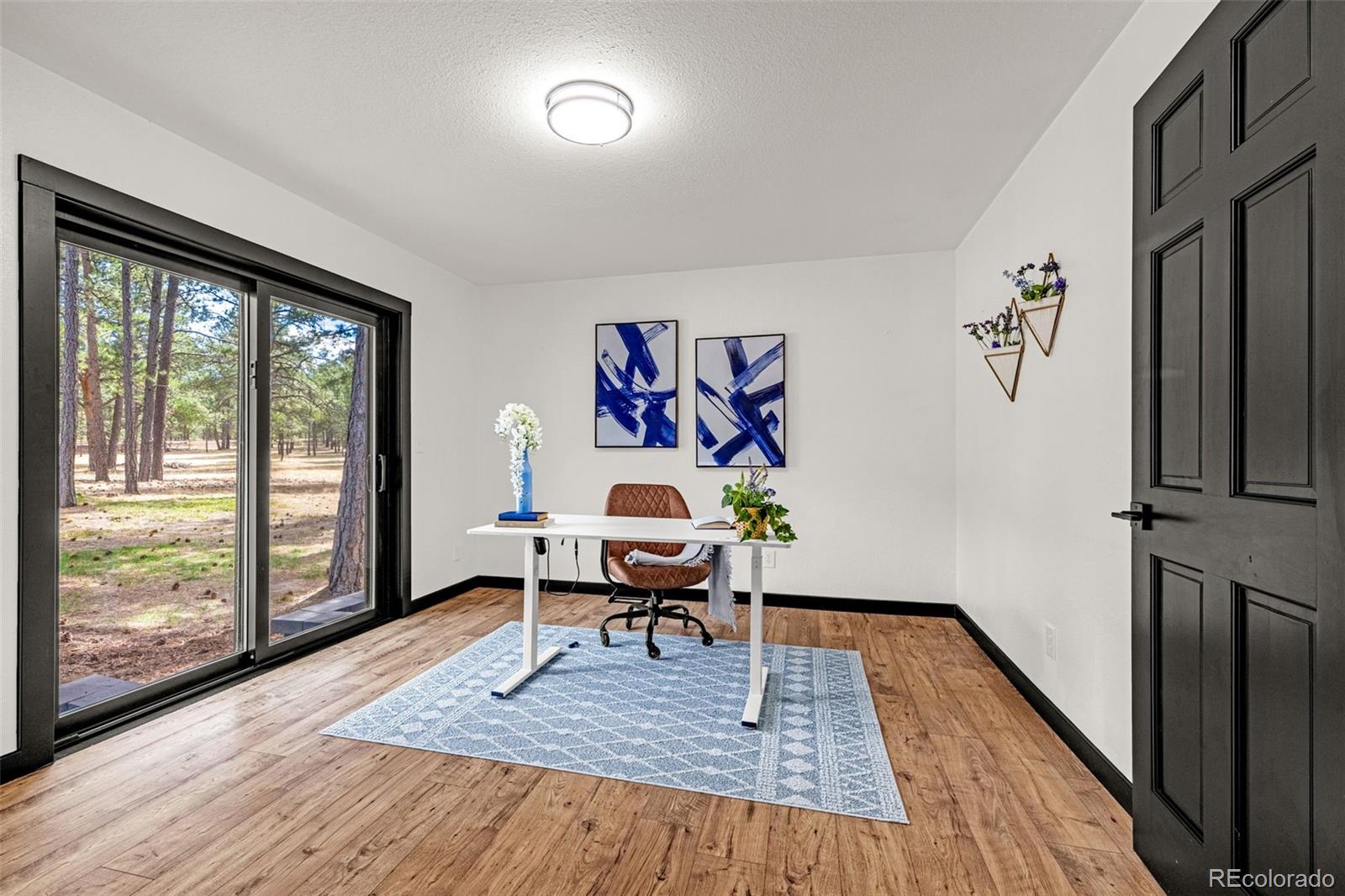 MLS Image #19 for 15520  bar x road,colorado springs, Colorado