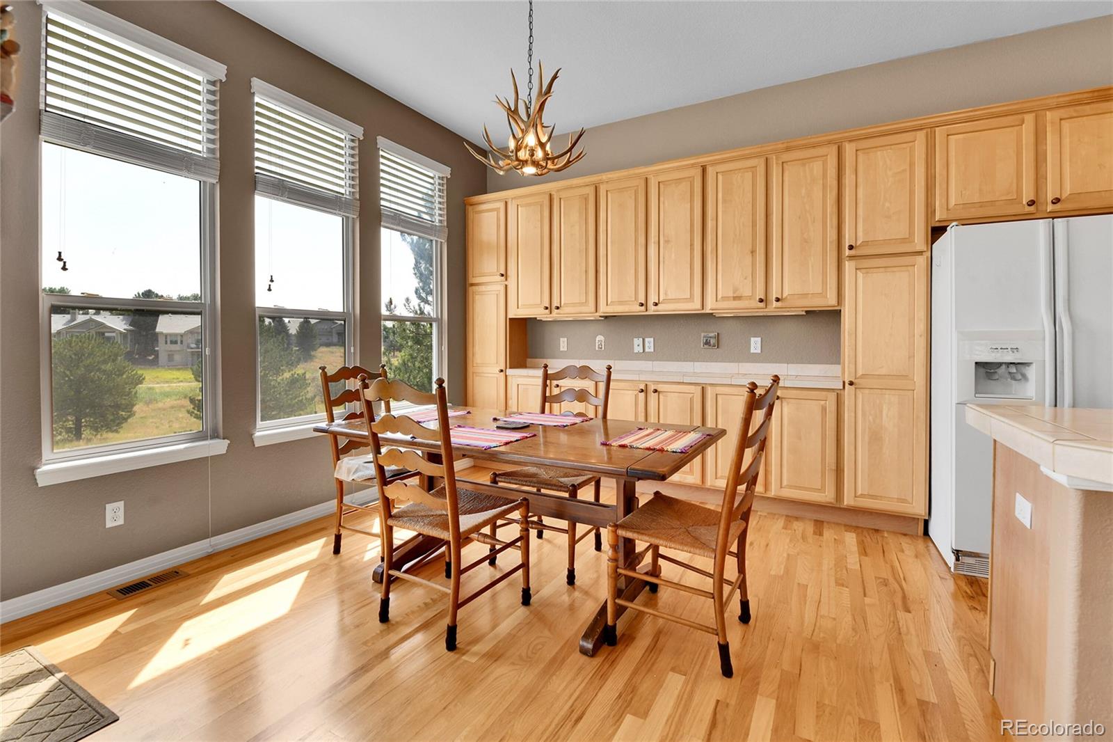 MLS Image #16 for 6224 s blackhawk court,centennial, Colorado