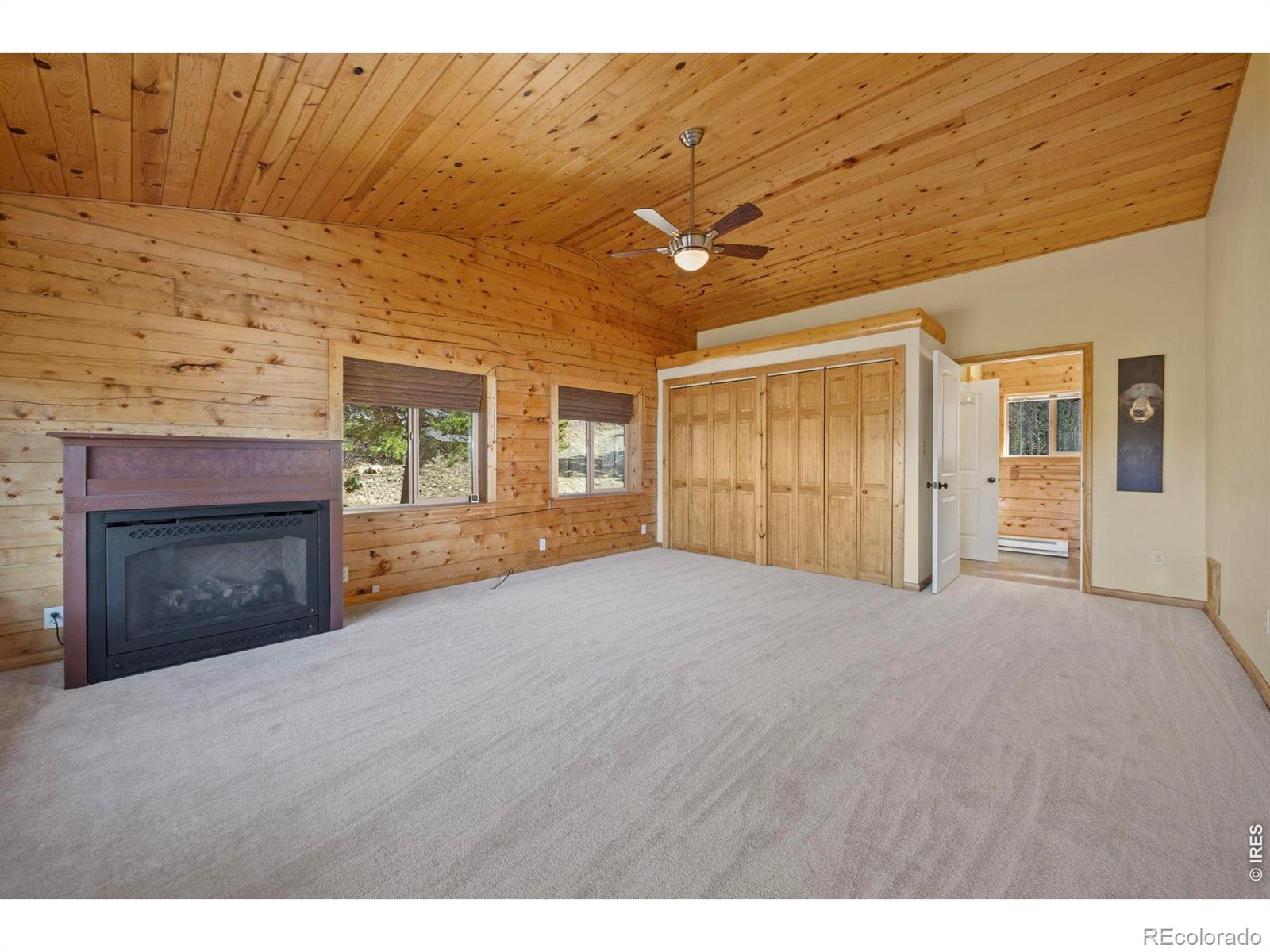 MLS Image #25 for 305  genevas way,black hawk, Colorado