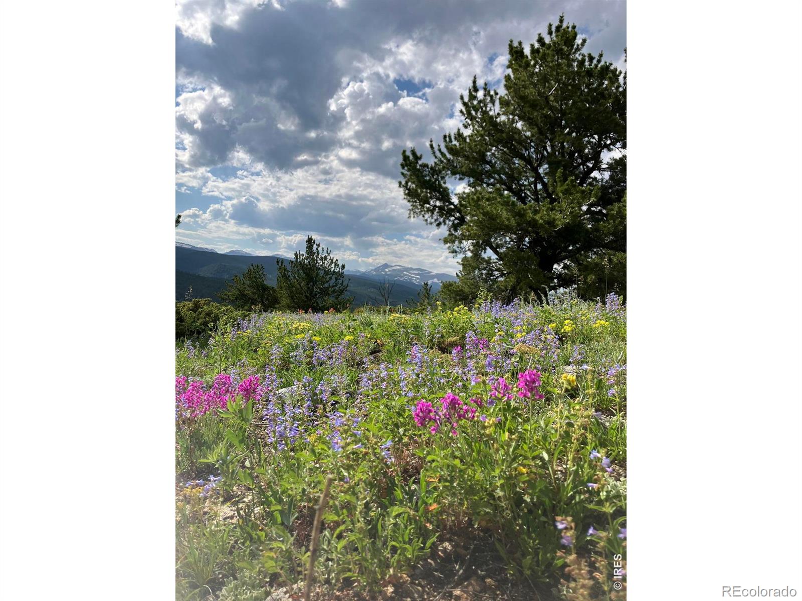 MLS Image #49 for 305  genevas way,black hawk, Colorado