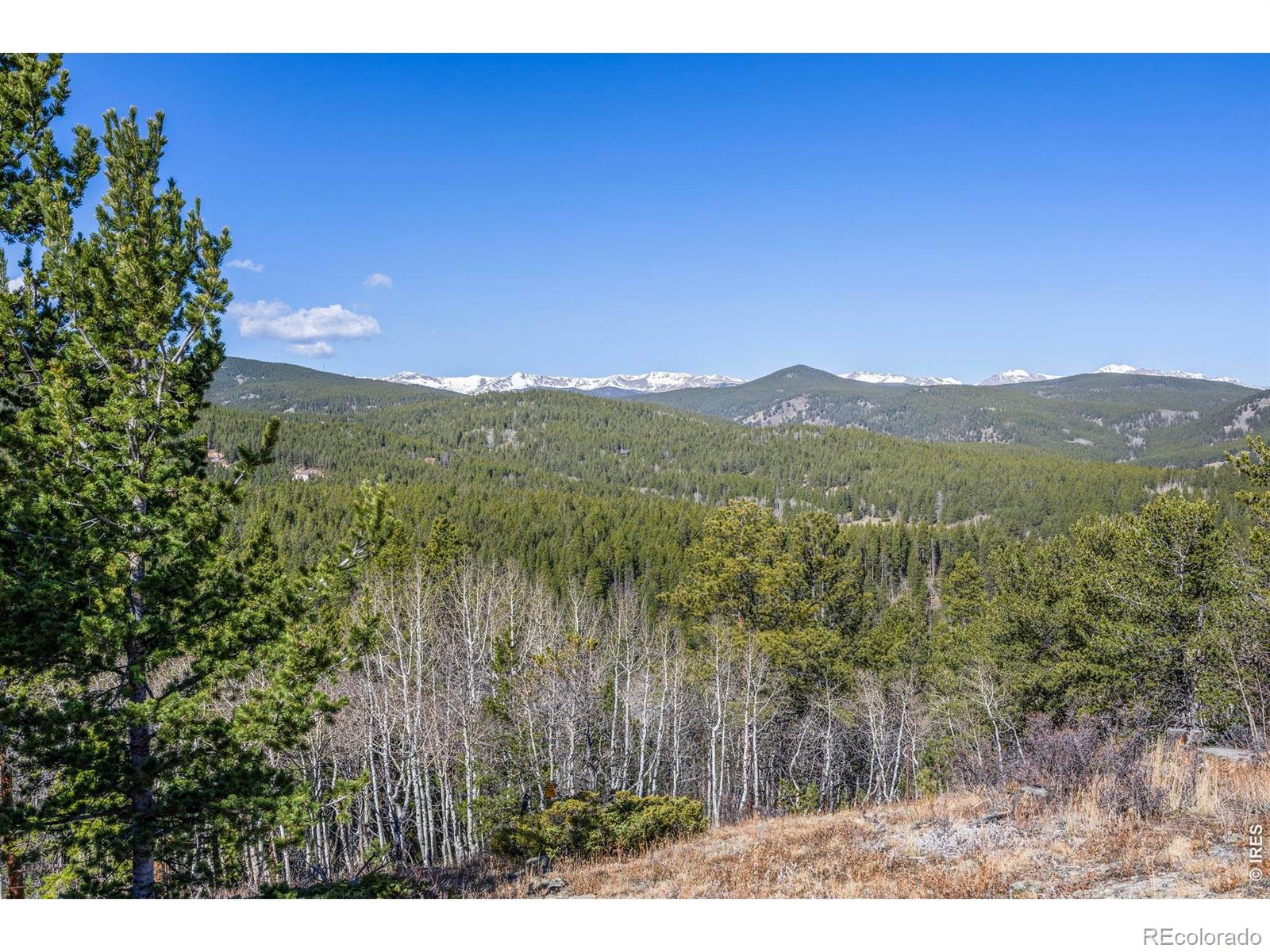 MLS Image #8 for 305  genevas way,black hawk, Colorado