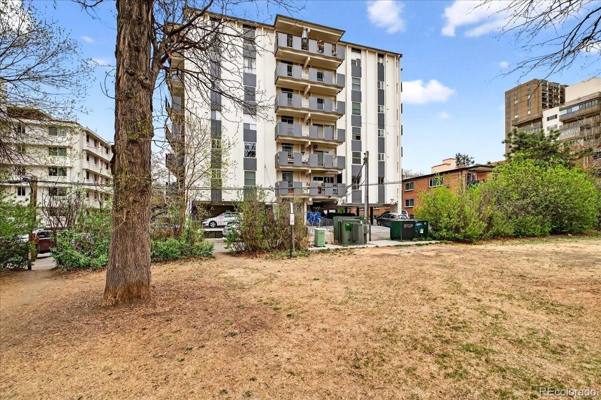 MLS Image #20 for 1265  race street,denver, Colorado