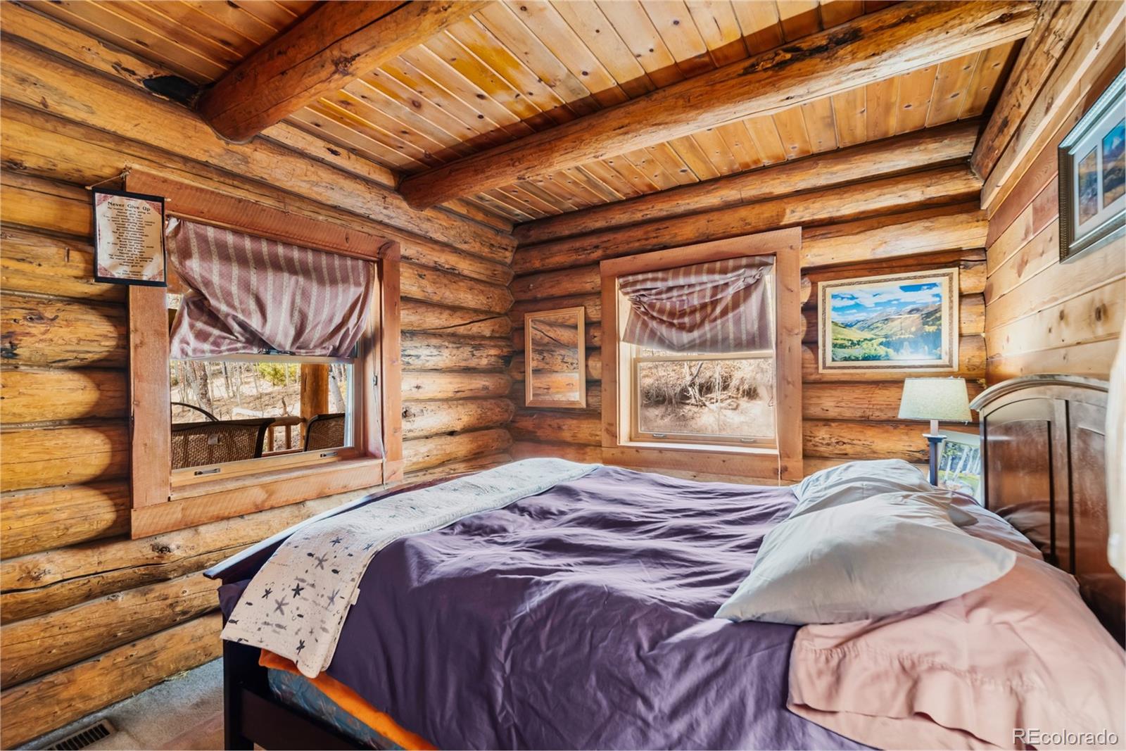 MLS Image #29 for 5  quakie court,fairplay, Colorado