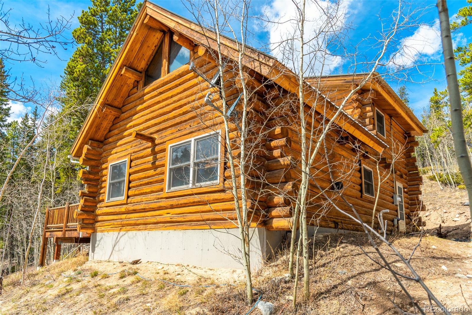 MLS Image #3 for 5  quakie court,fairplay, Colorado