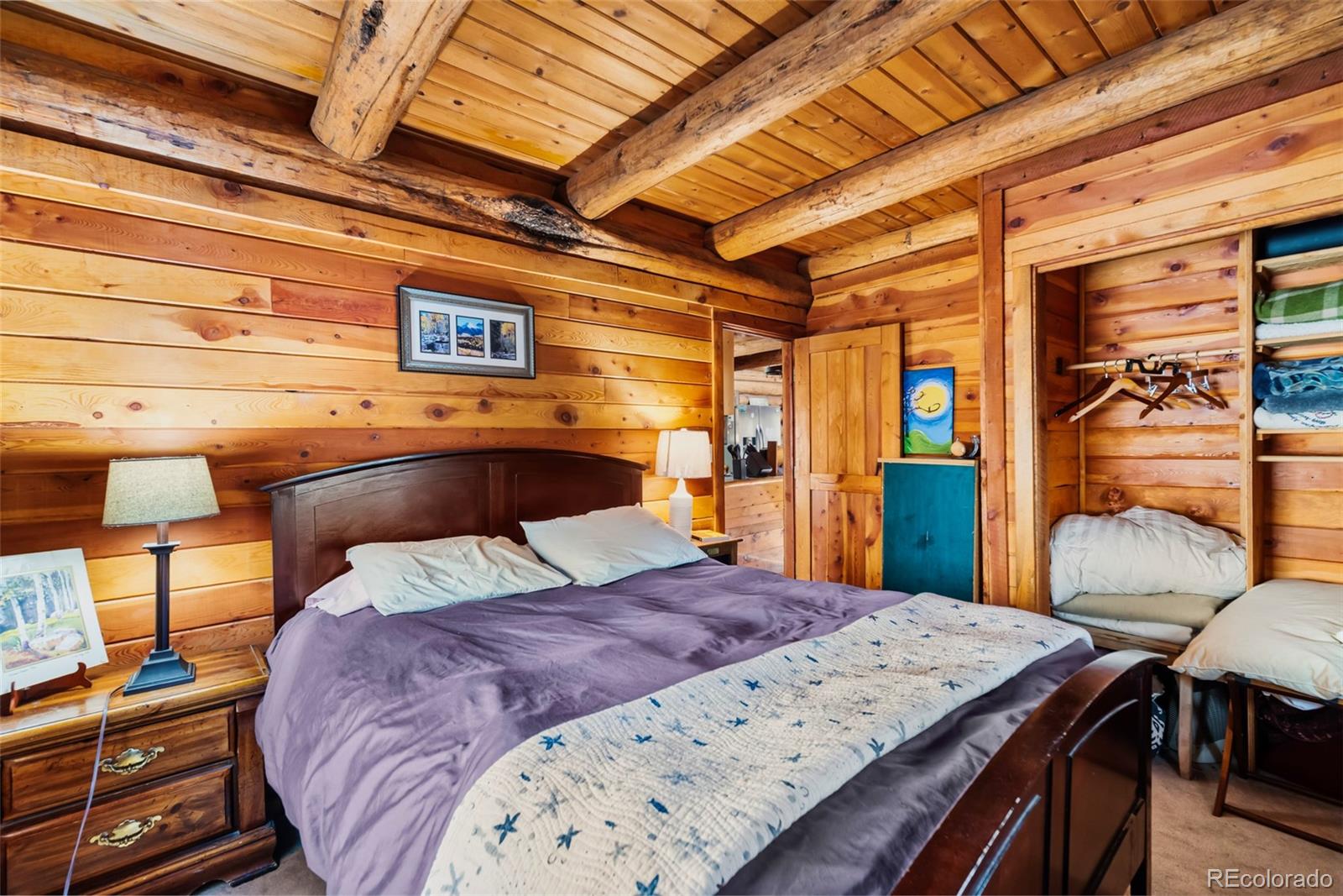 MLS Image #30 for 5  quakie court,fairplay, Colorado