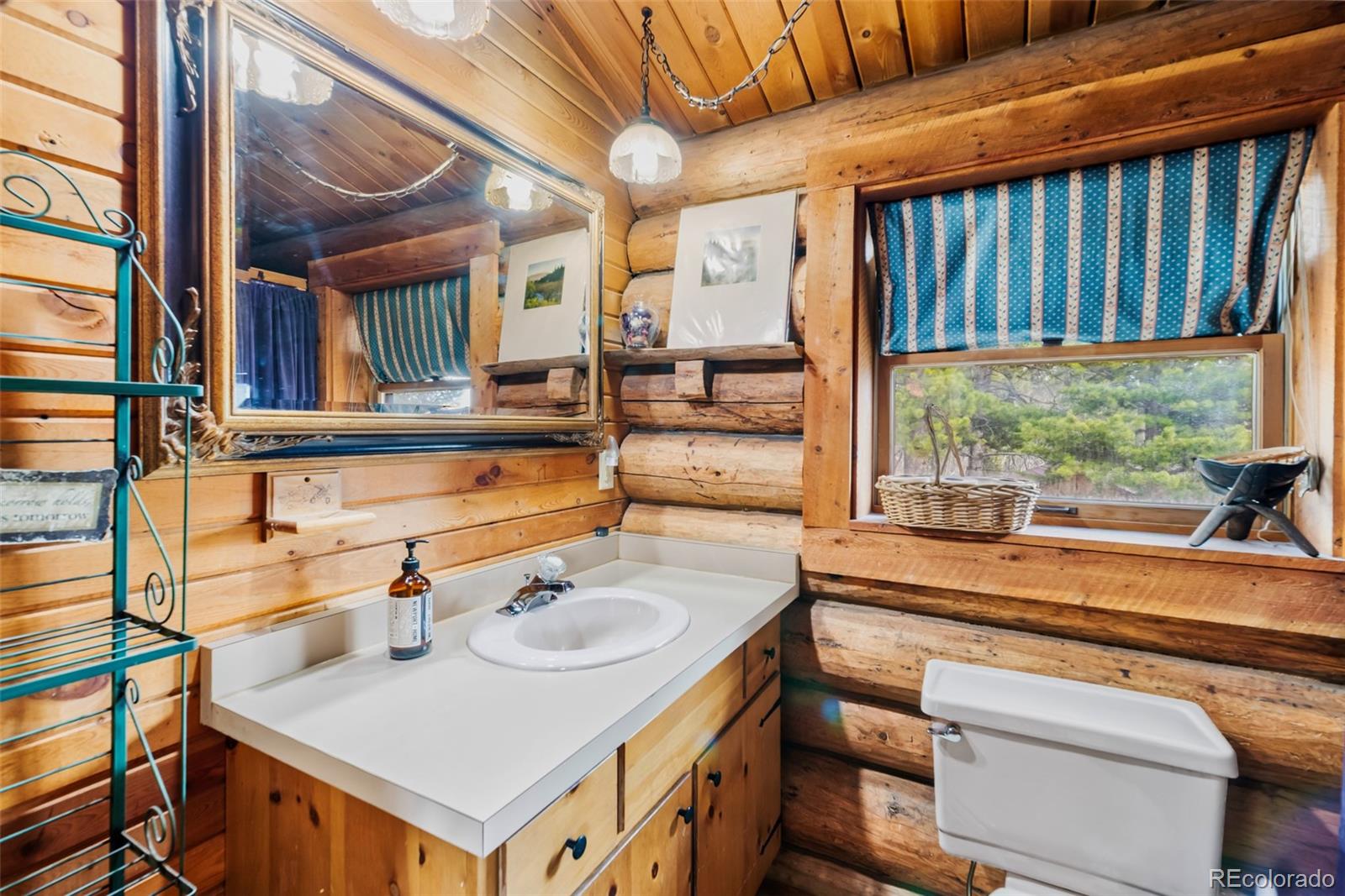 MLS Image #35 for 5  quakie court,fairplay, Colorado