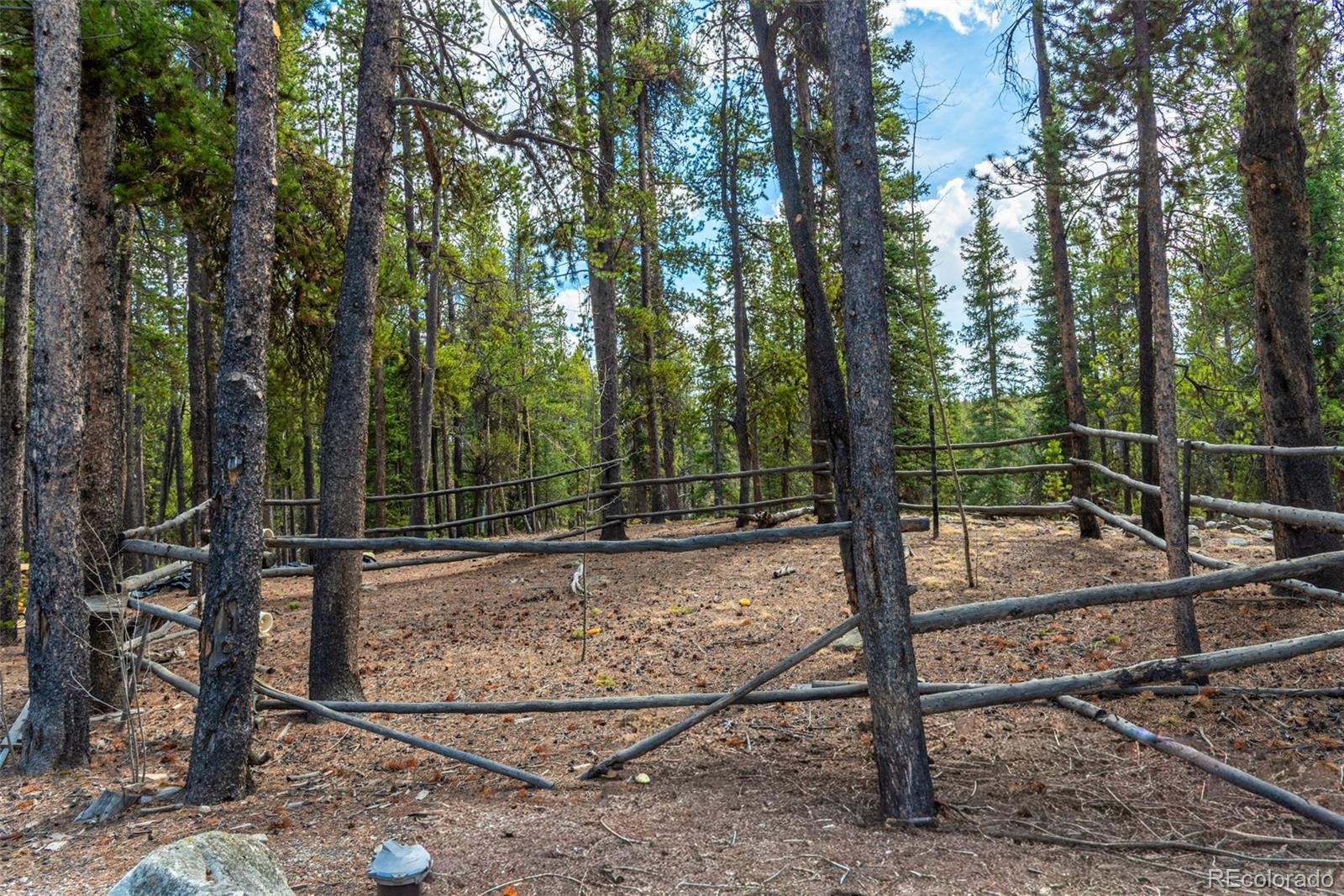 MLS Image #39 for 5  quakie court,fairplay, Colorado