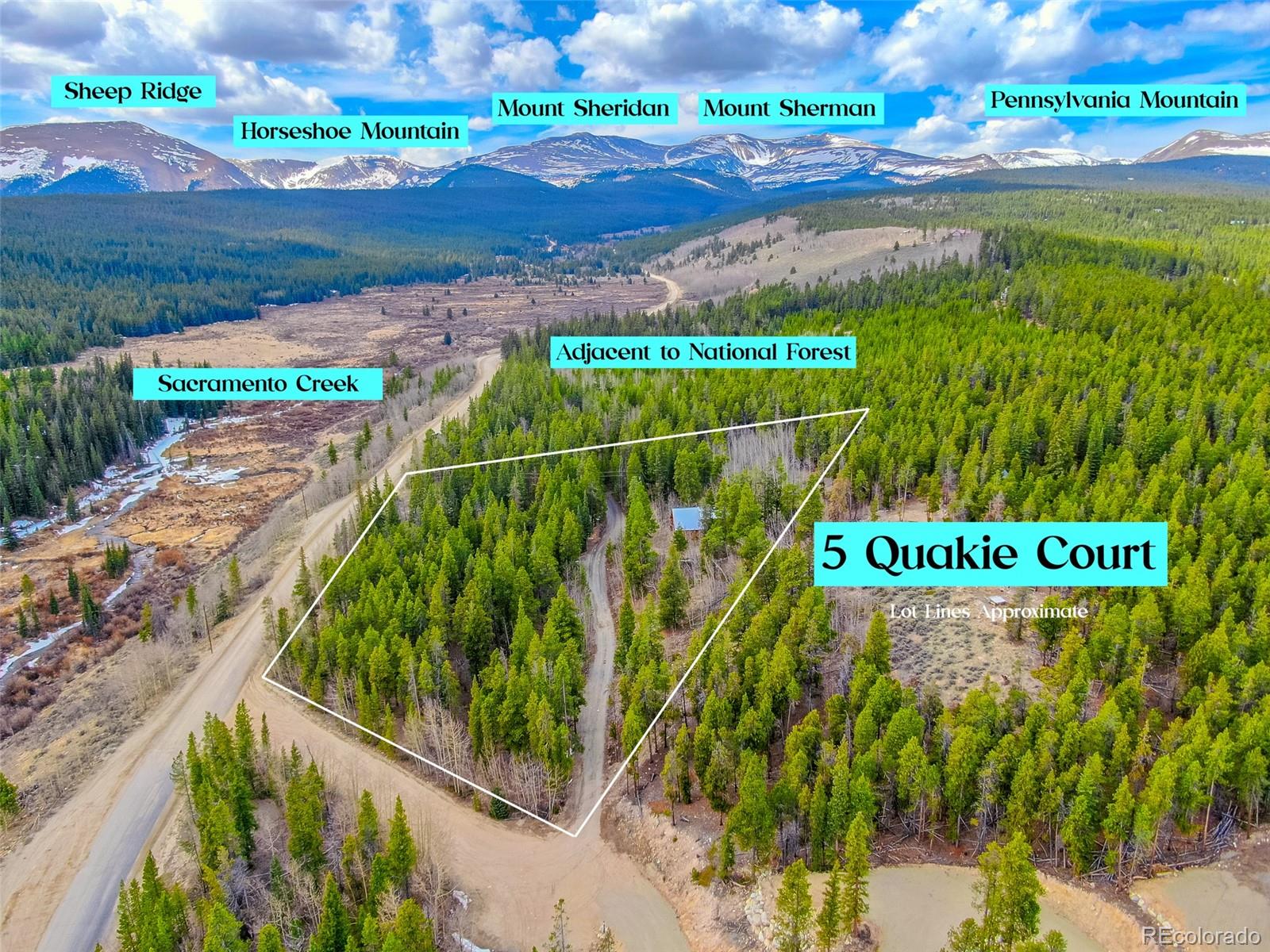 MLS Image #6 for 5  quakie court,fairplay, Colorado