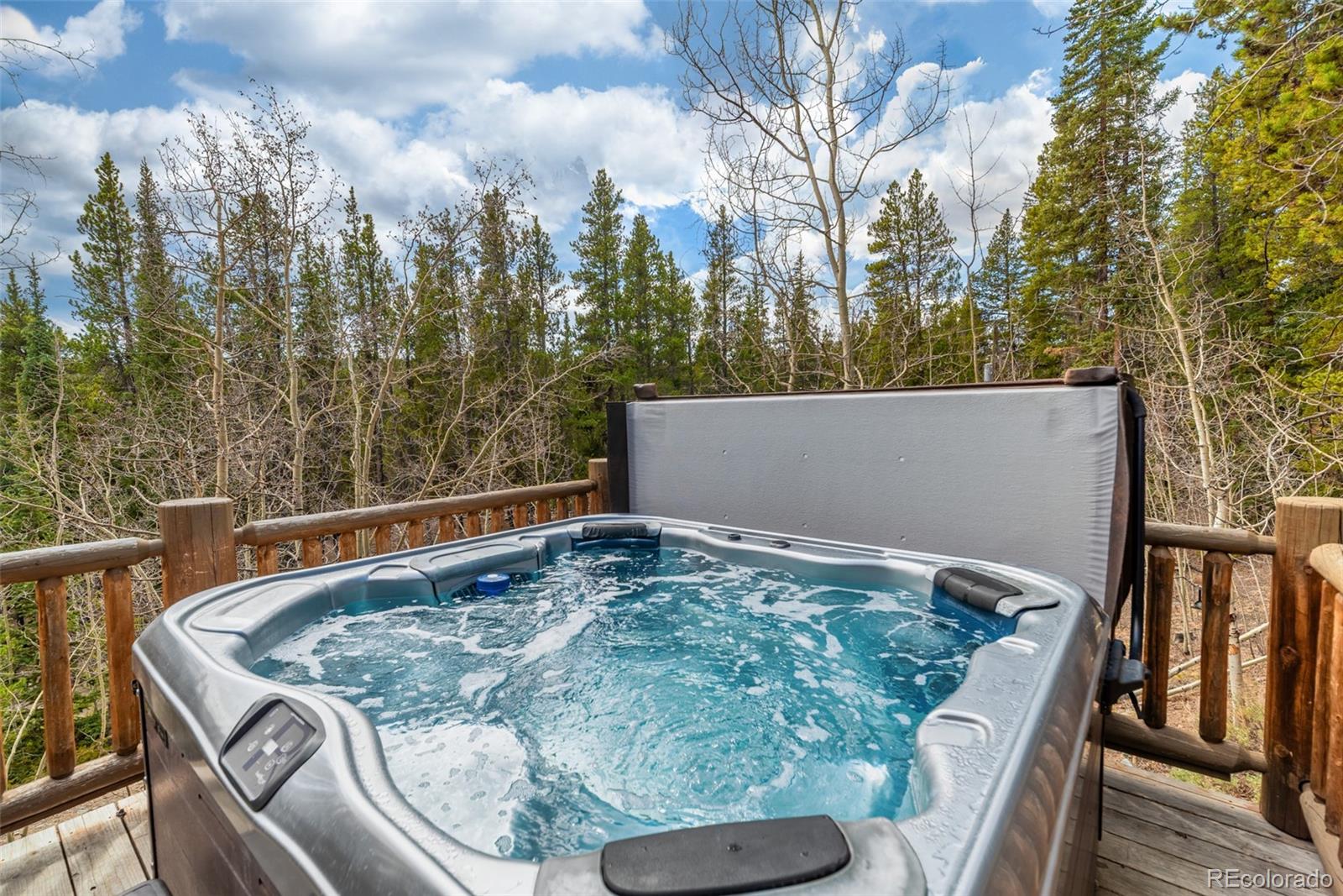 MLS Image #8 for 5  quakie court,fairplay, Colorado