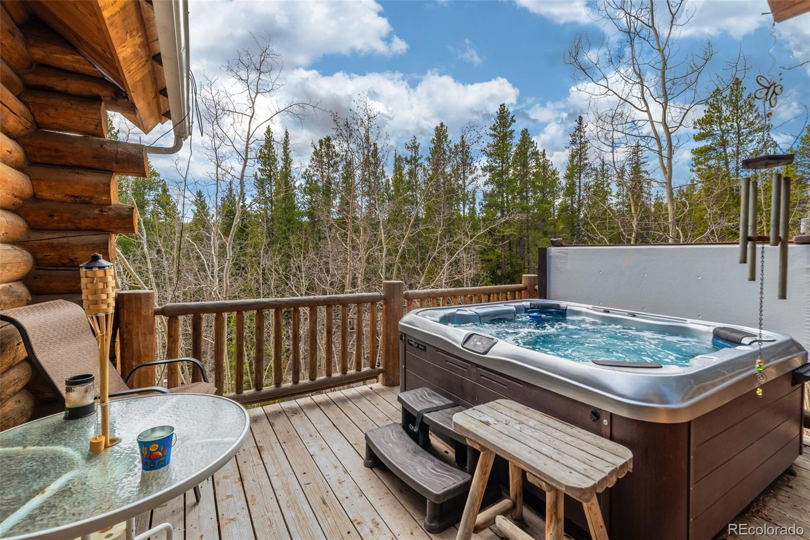 MLS Image #9 for 5  quakie court,fairplay, Colorado