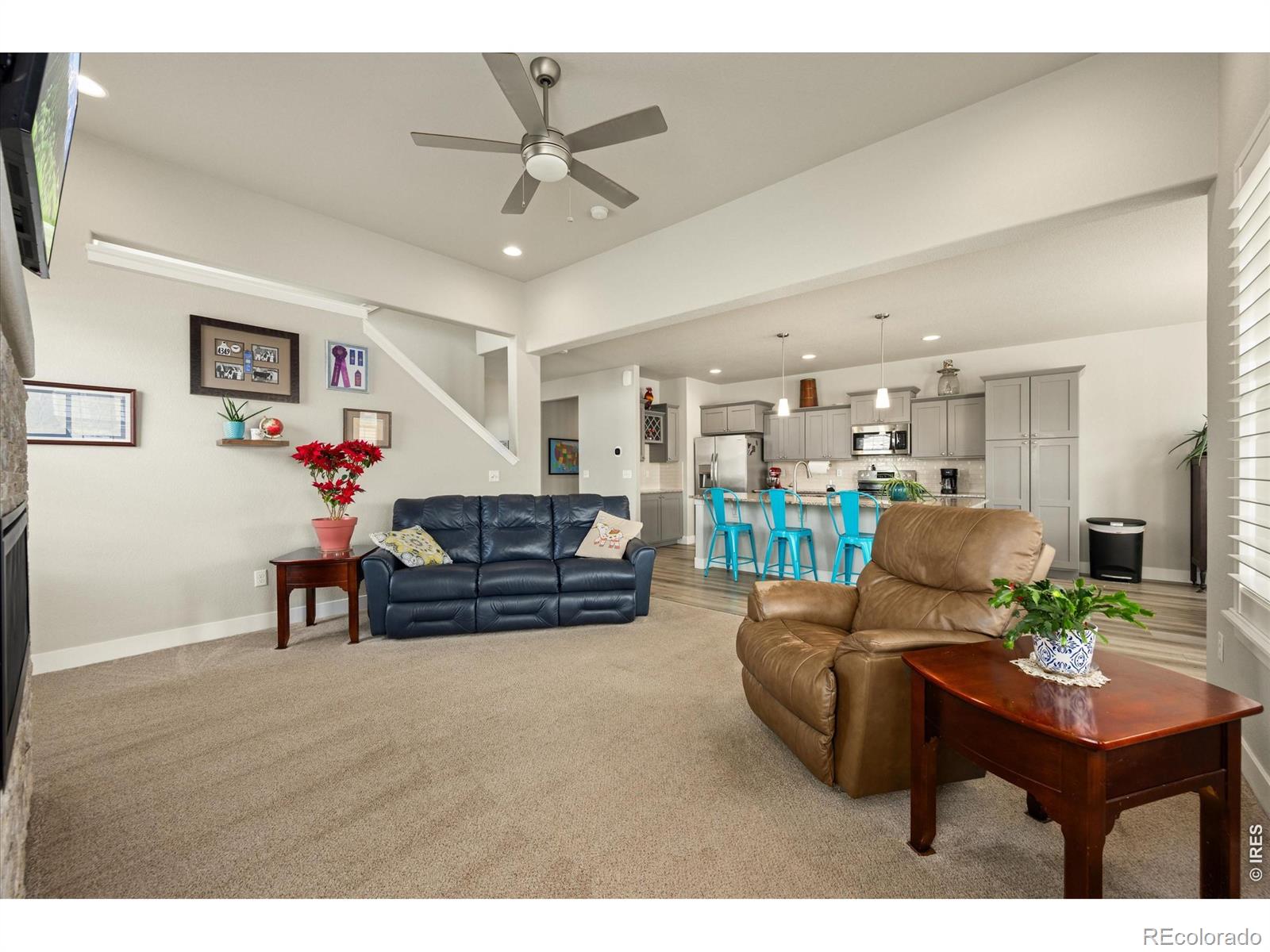 MLS Image #13 for 479  mt belford drive,severance, Colorado