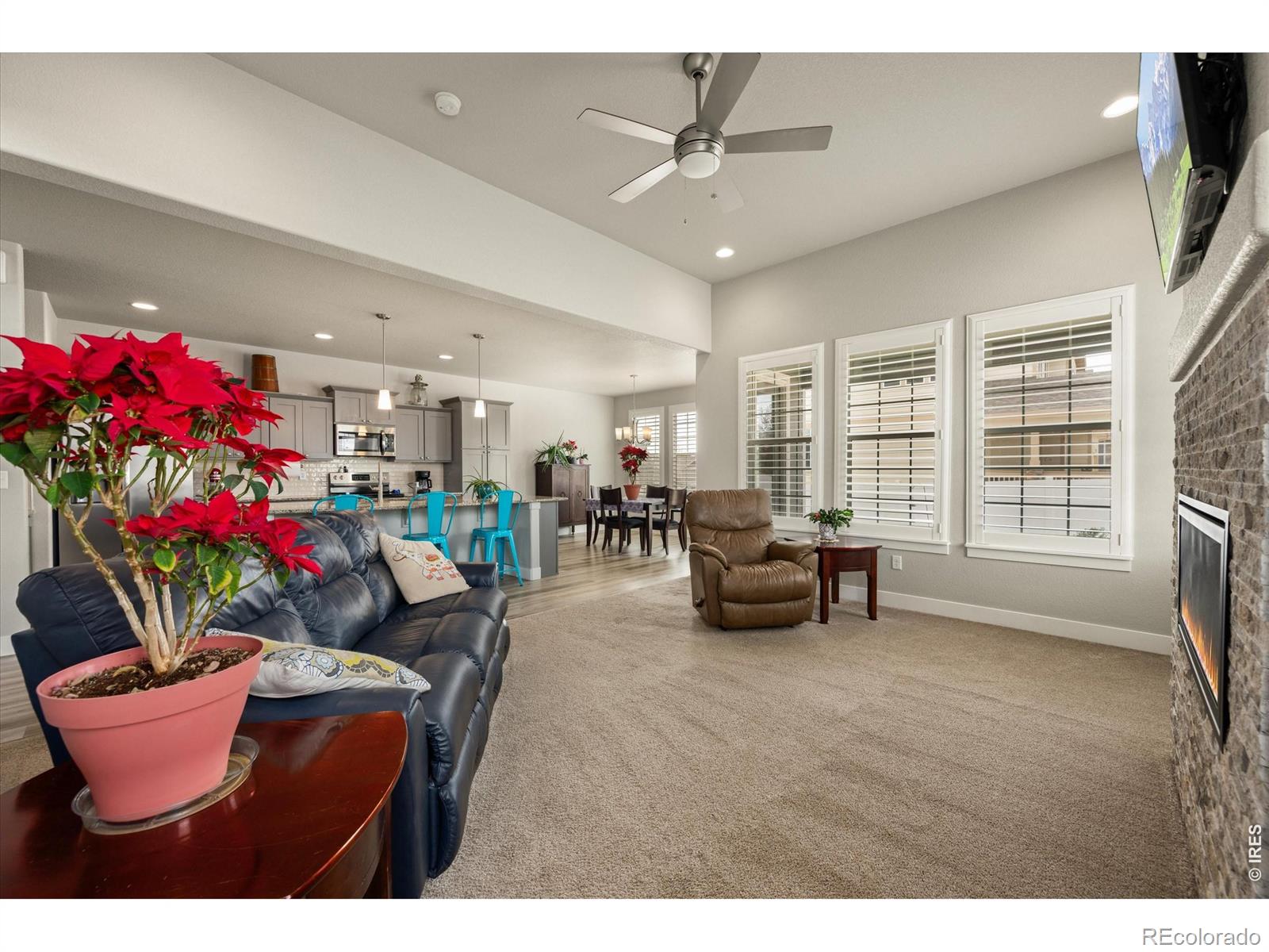 MLS Image #15 for 479  mt belford drive,severance, Colorado