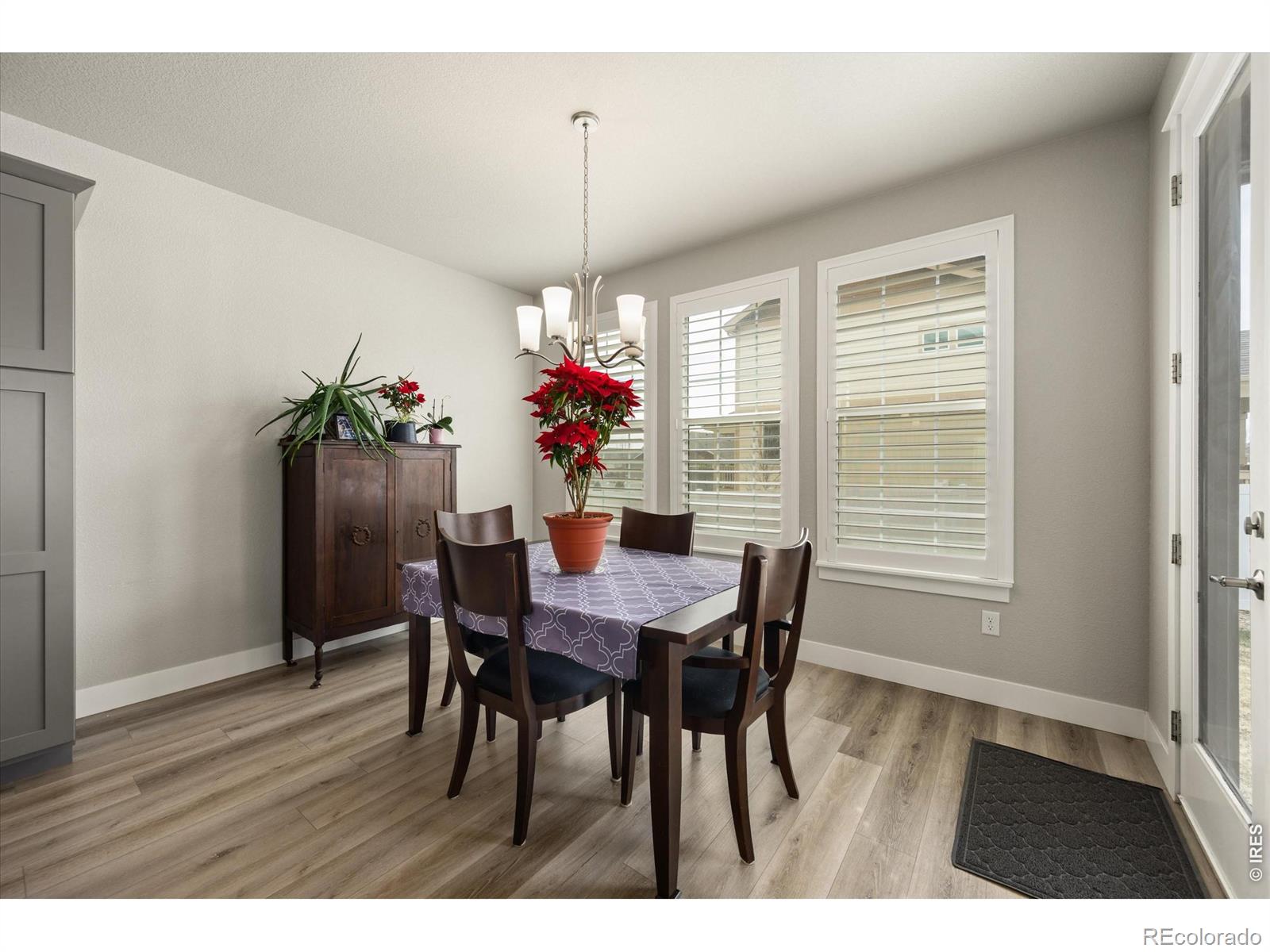 MLS Image #16 for 479  mt belford drive,severance, Colorado