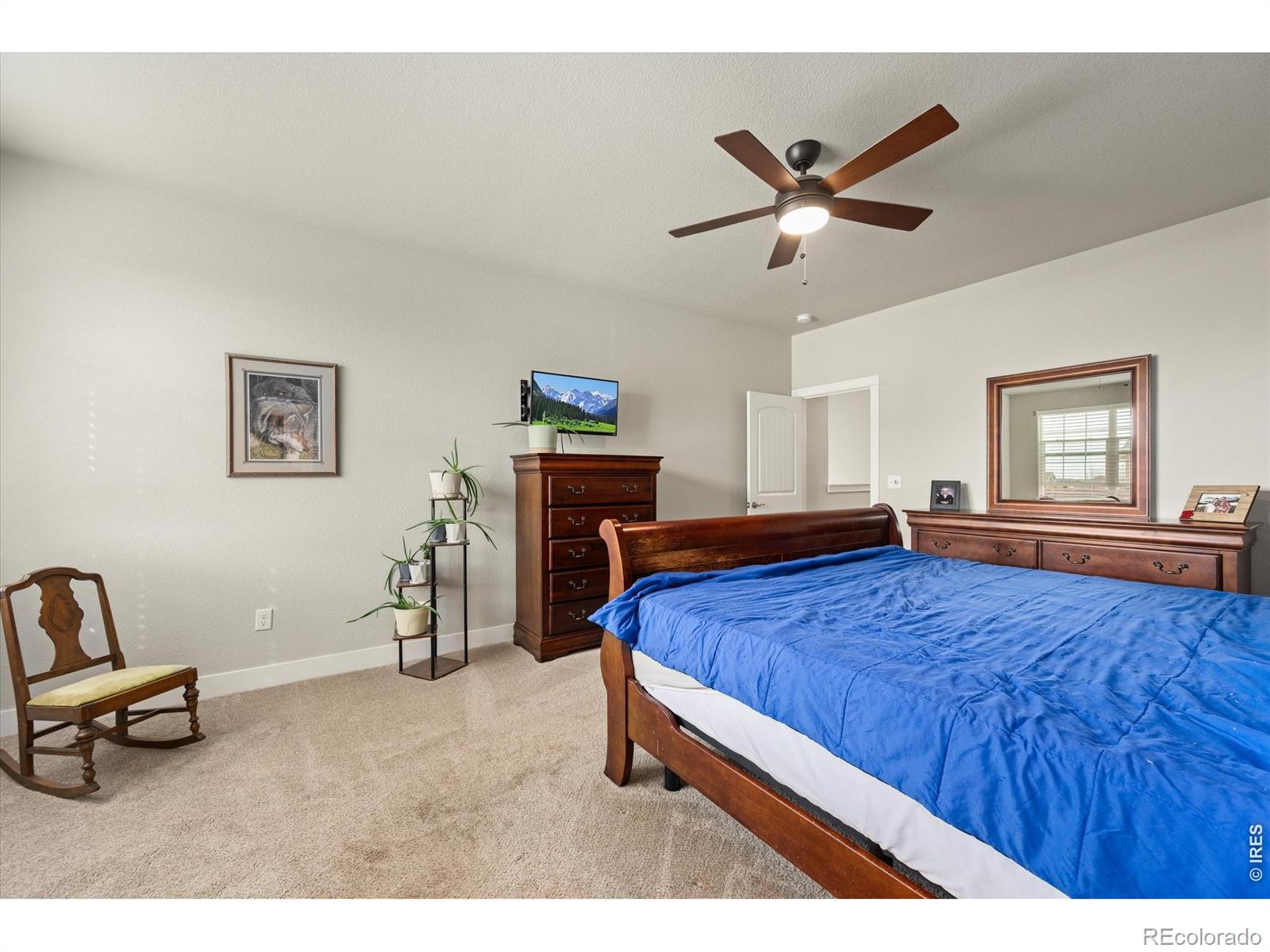 MLS Image #19 for 479  mt belford drive,severance, Colorado