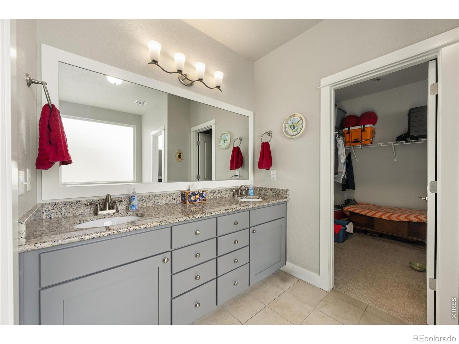 MLS Image #20 for 479  mt belford drive,severance, Colorado