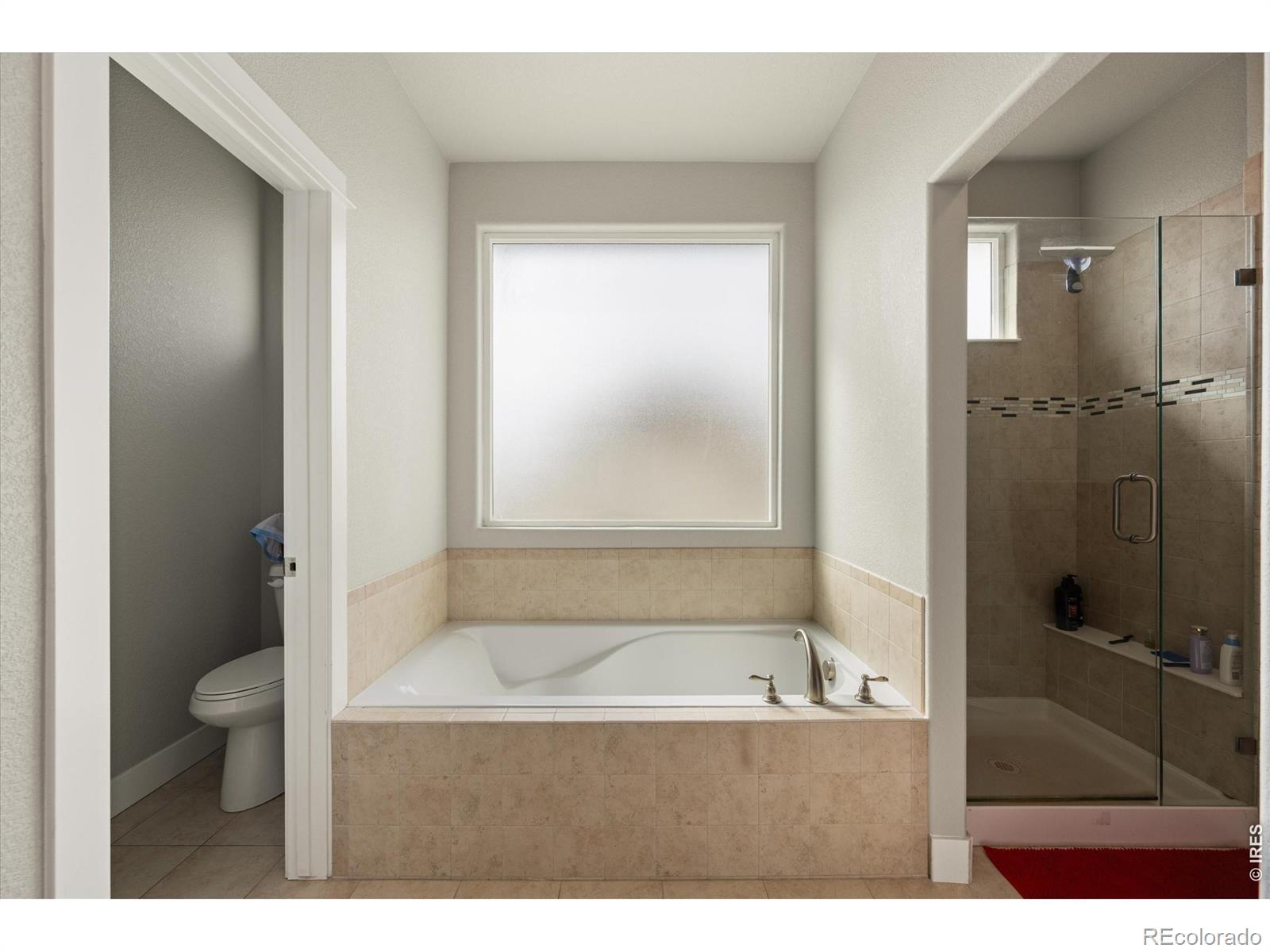 MLS Image #21 for 479  mt belford drive,severance, Colorado
