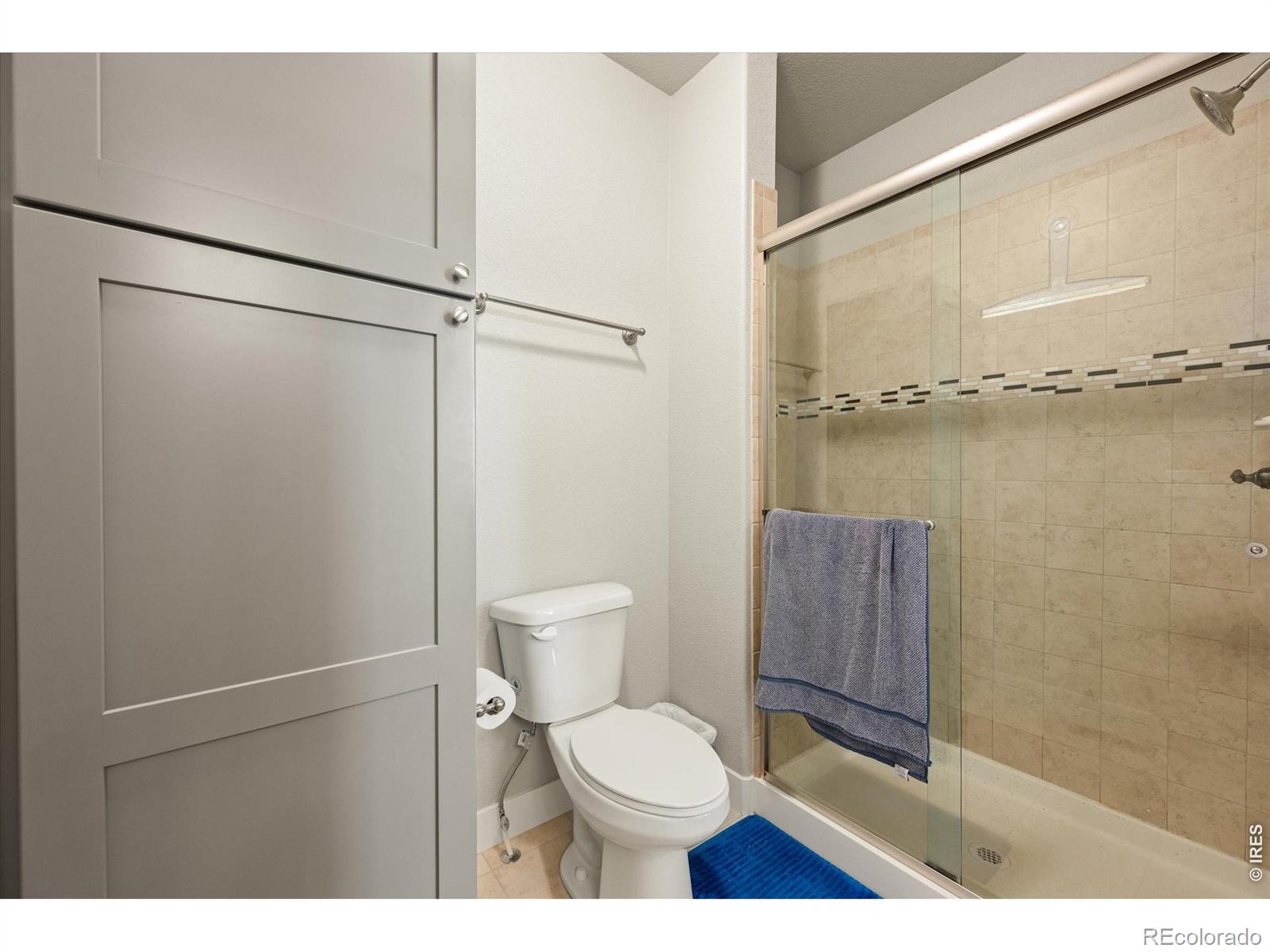 MLS Image #27 for 479  mt belford drive,severance, Colorado