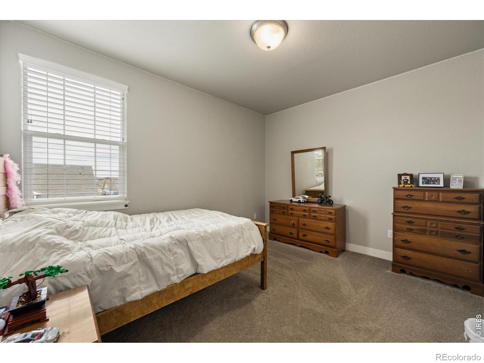 MLS Image #30 for 479  mt belford drive,severance, Colorado