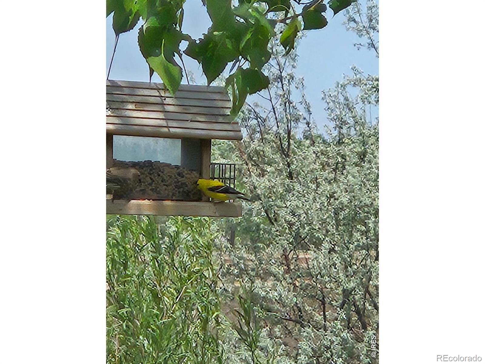 MLS Image #31 for 317  sunset drive,la salle, Colorado