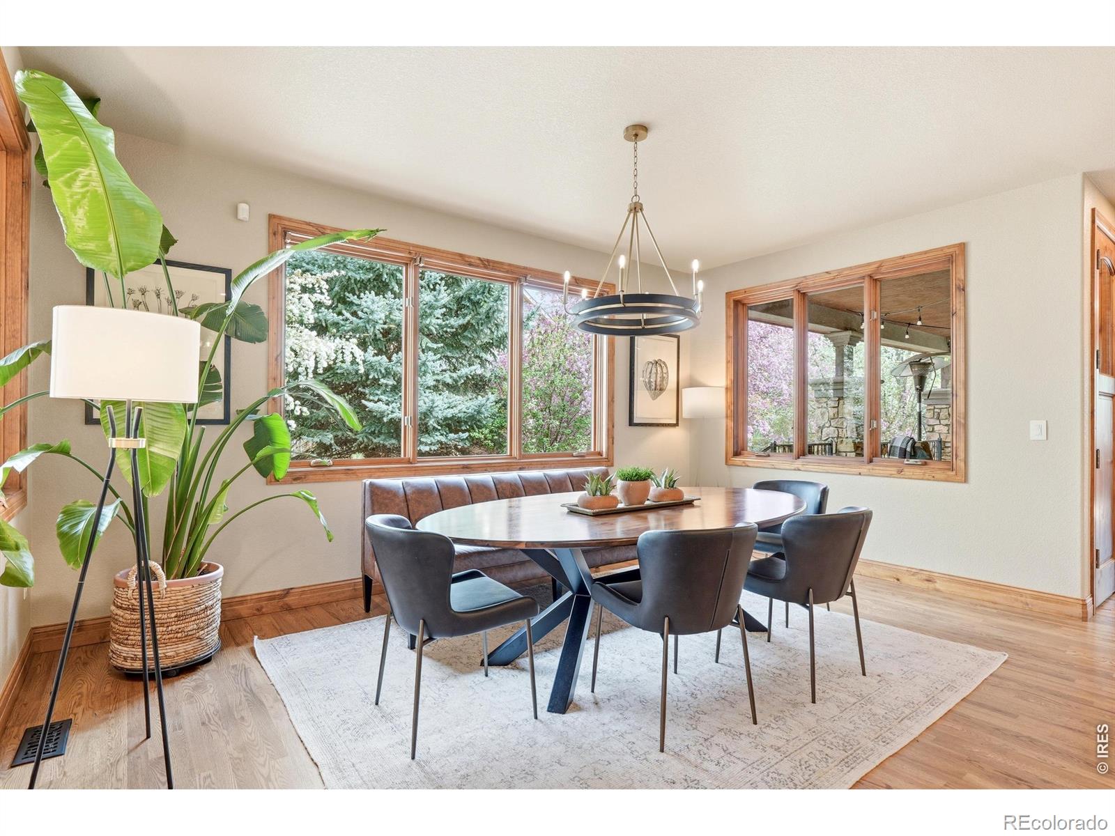 MLS Image #11 for 1444  onyx circle,longmont, Colorado