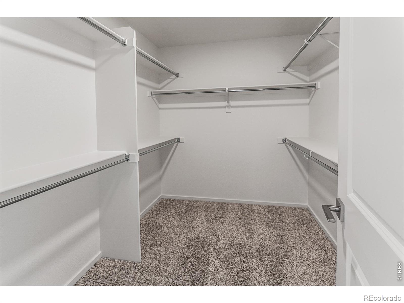 MLS Image #35 for 4904  autumn leaf drive,timnath, Colorado