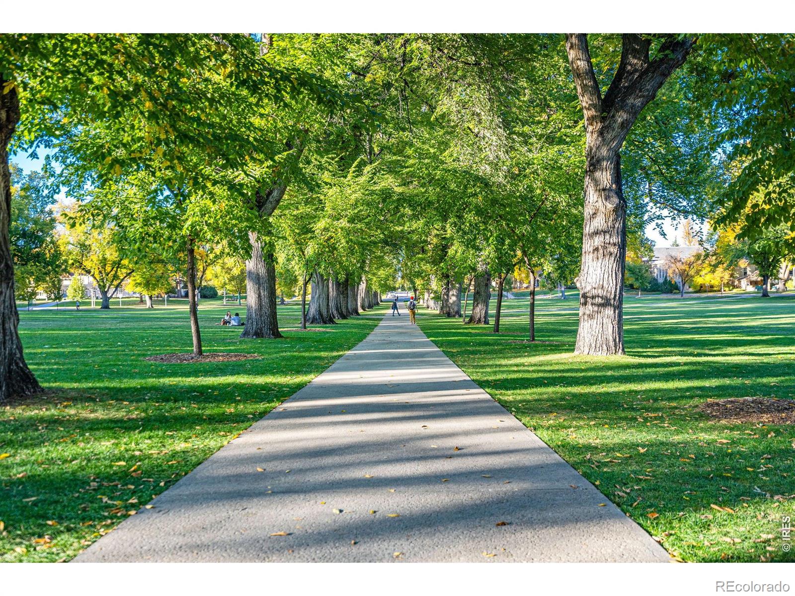 MLS Image #32 for 2052  glenmoor drive,fort collins, Colorado