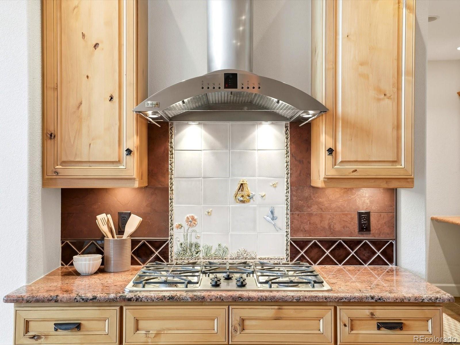 MLS Image #16 for 25070  montane drive,golden, Colorado