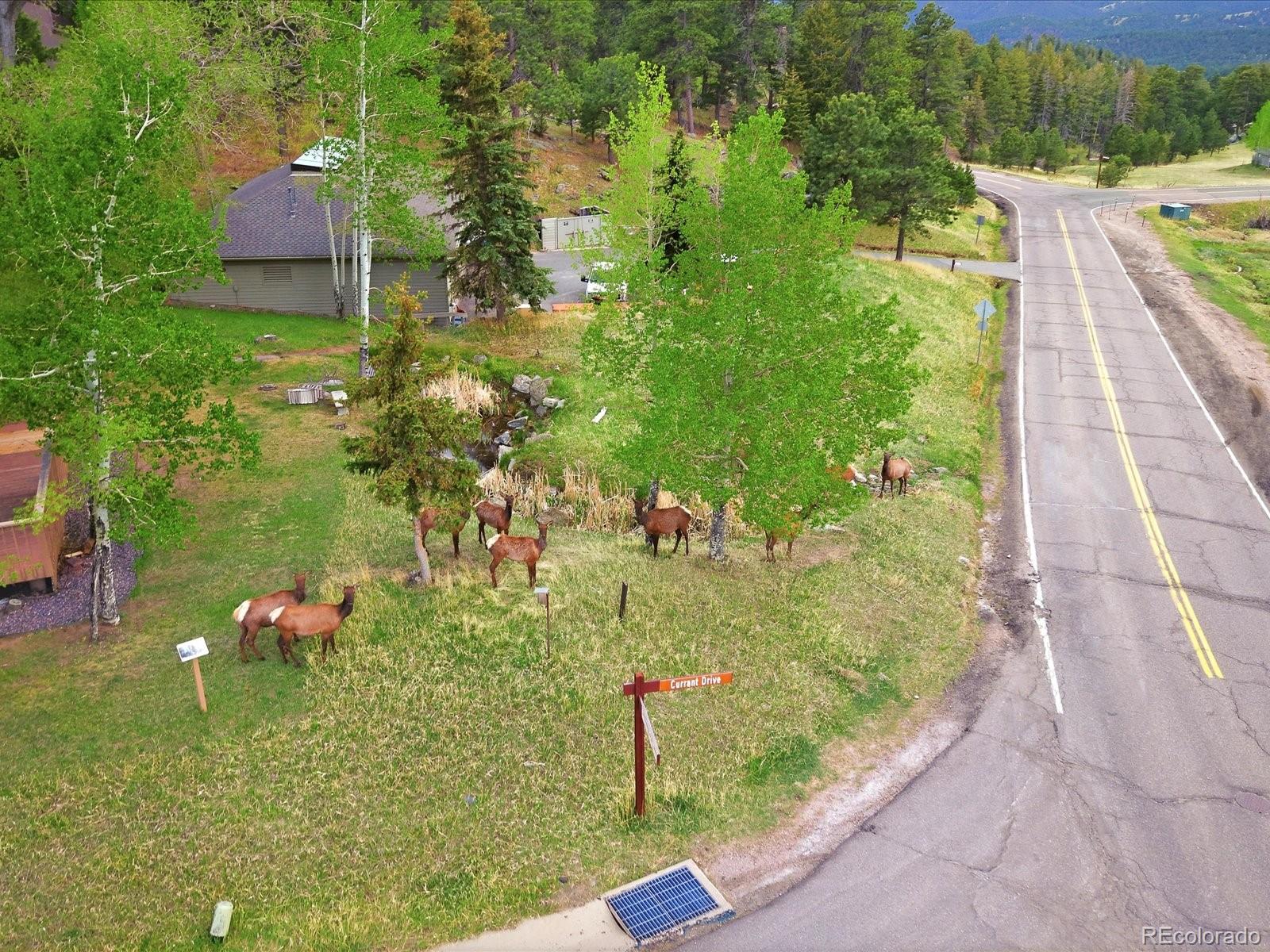 MLS Image #48 for 25070  montane drive,golden, Colorado
