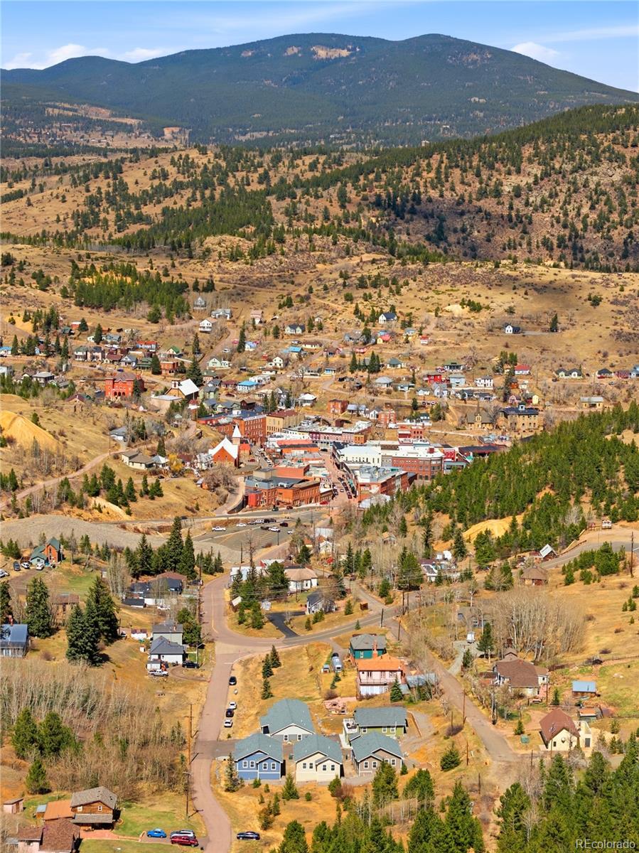 MLS Image #22 for 400  roworth way,central city, Colorado