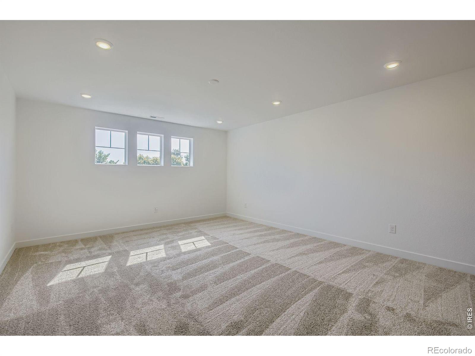 MLS Image #13 for 3156  ironton drive,loveland, Colorado