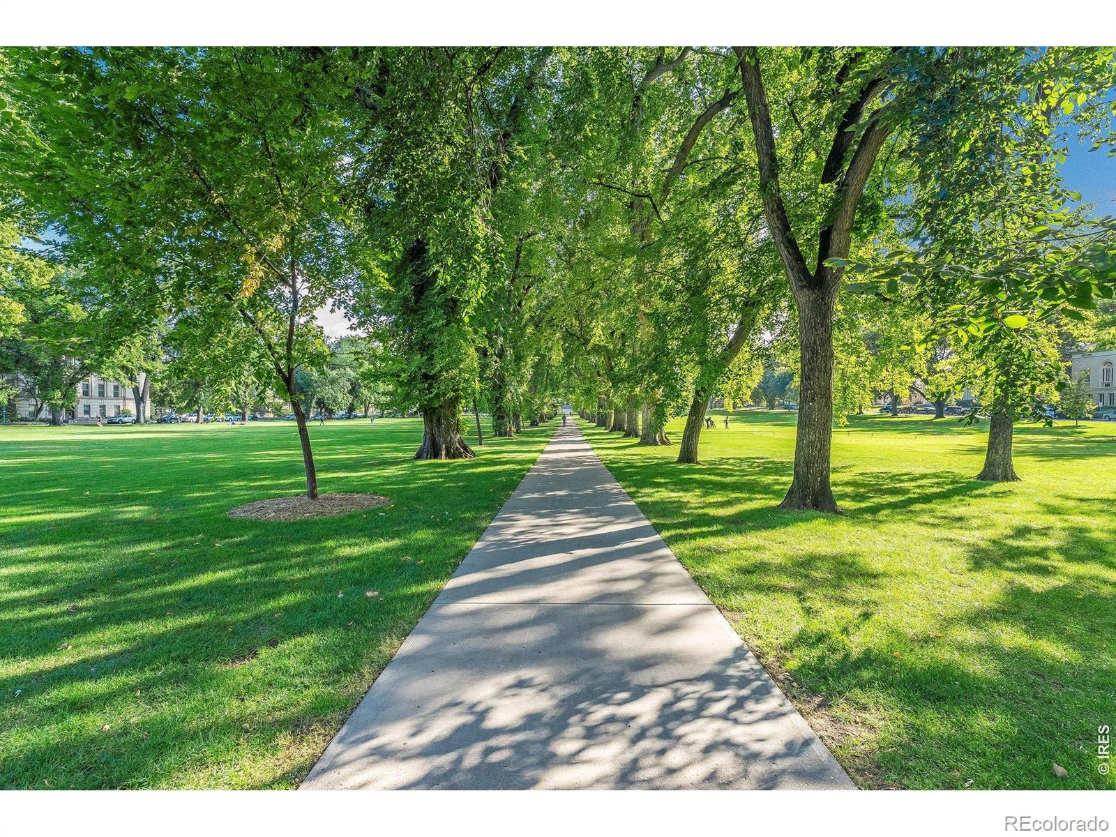 MLS Image #20 for 827  schlagel street,fort collins, Colorado