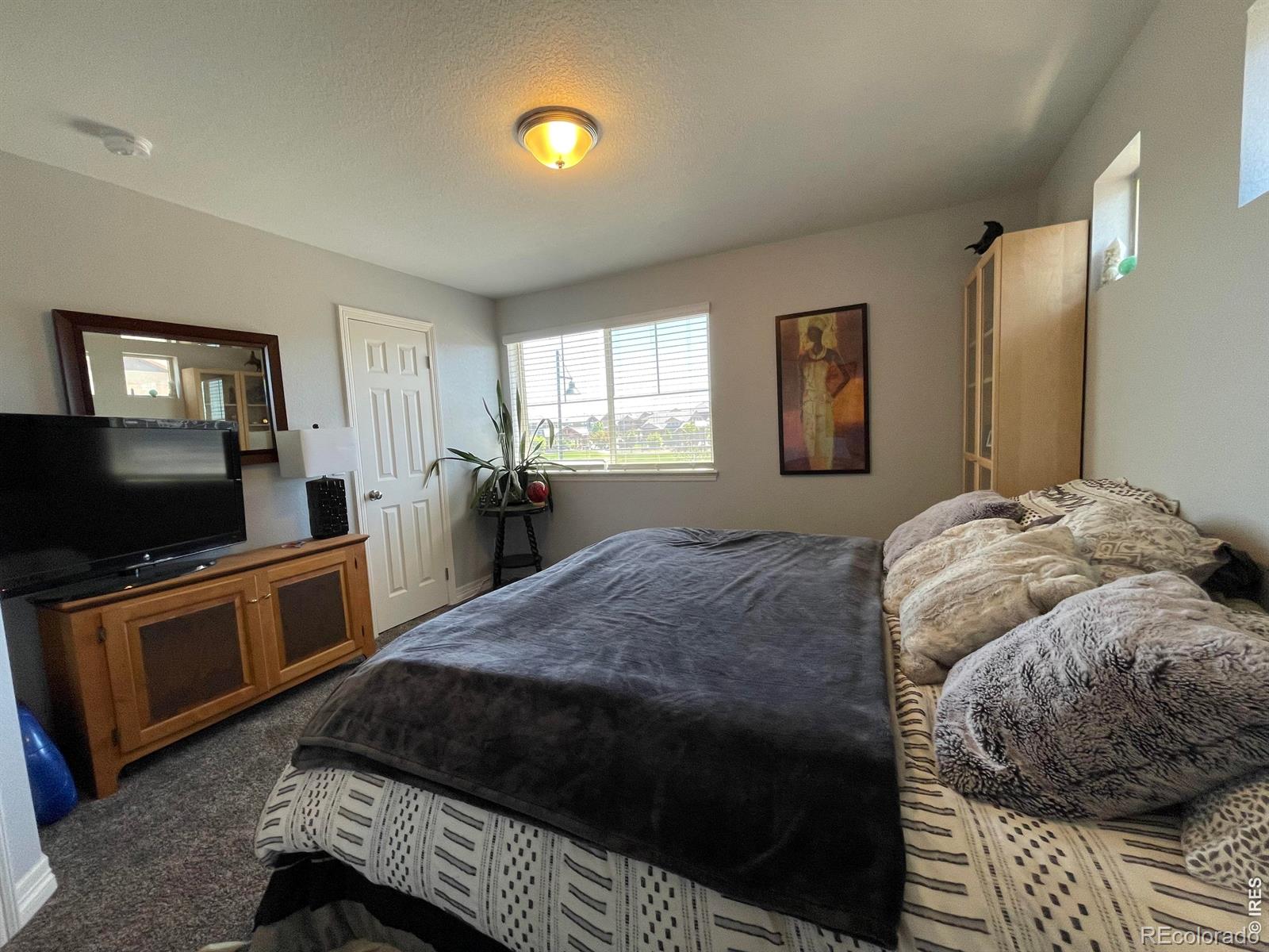 MLS Image #21 for 120  pear lake way,erie, Colorado