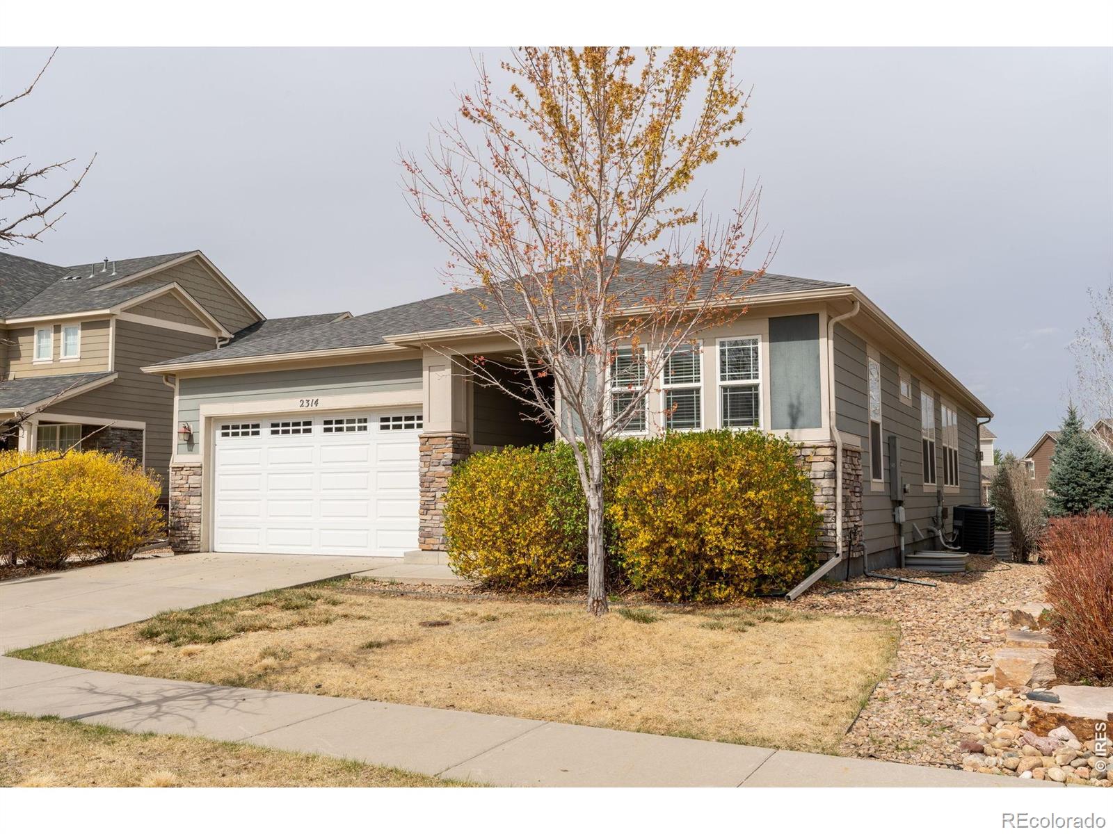 MLS Image #24 for 2314  lodgepole creek drive,fort collins, Colorado