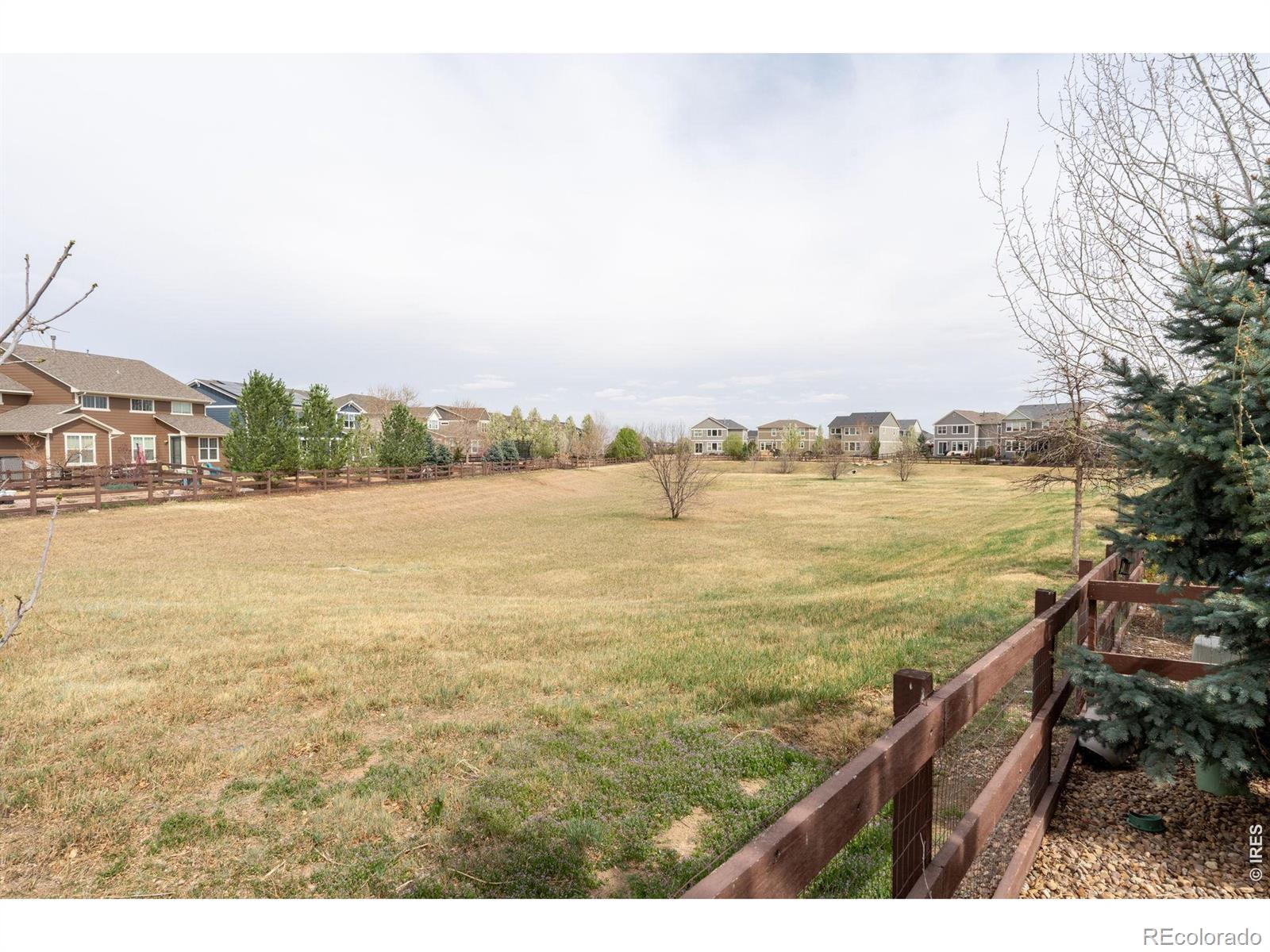 MLS Image #44 for 2314  lodgepole creek drive,fort collins, Colorado
