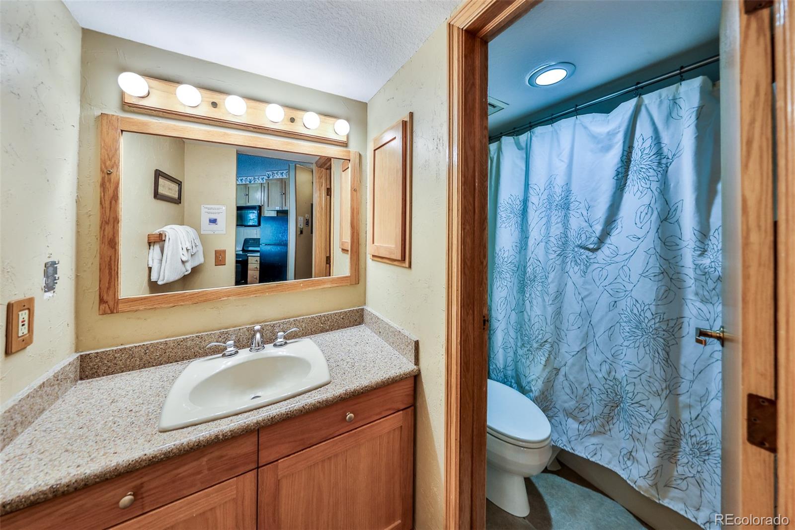 MLS Image #13 for 313  iron horse way,winter park, Colorado