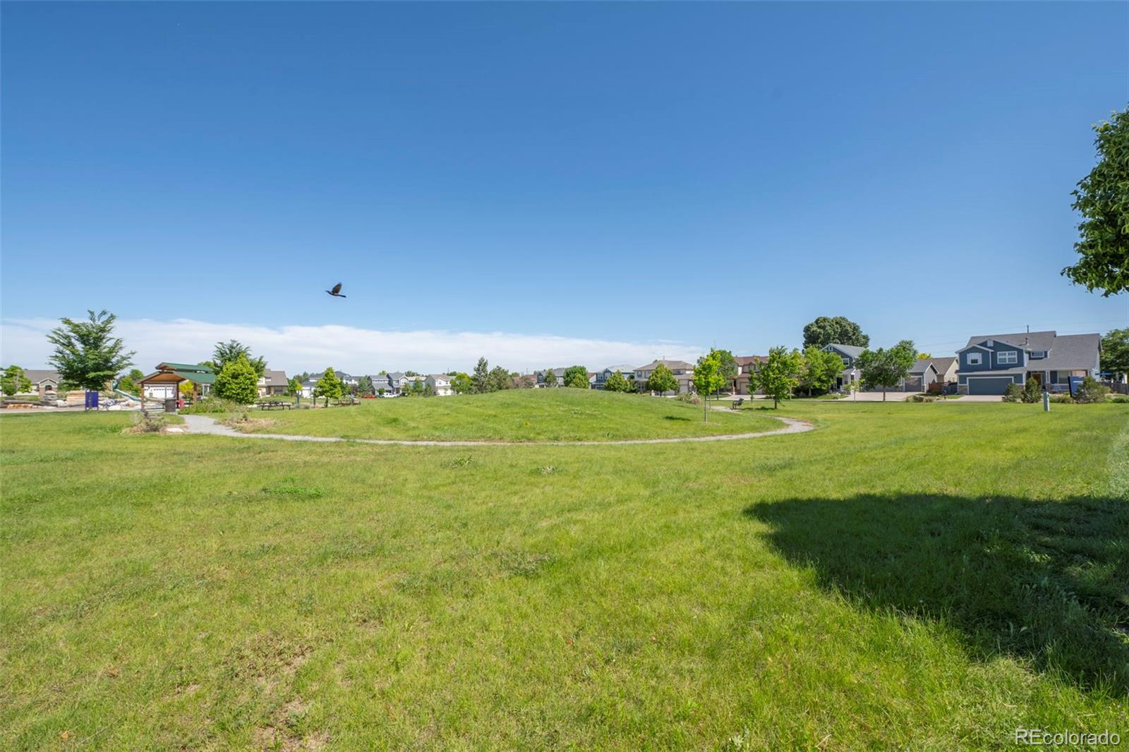 MLS Image #37 for 166  chardon avenue,brighton, Colorado