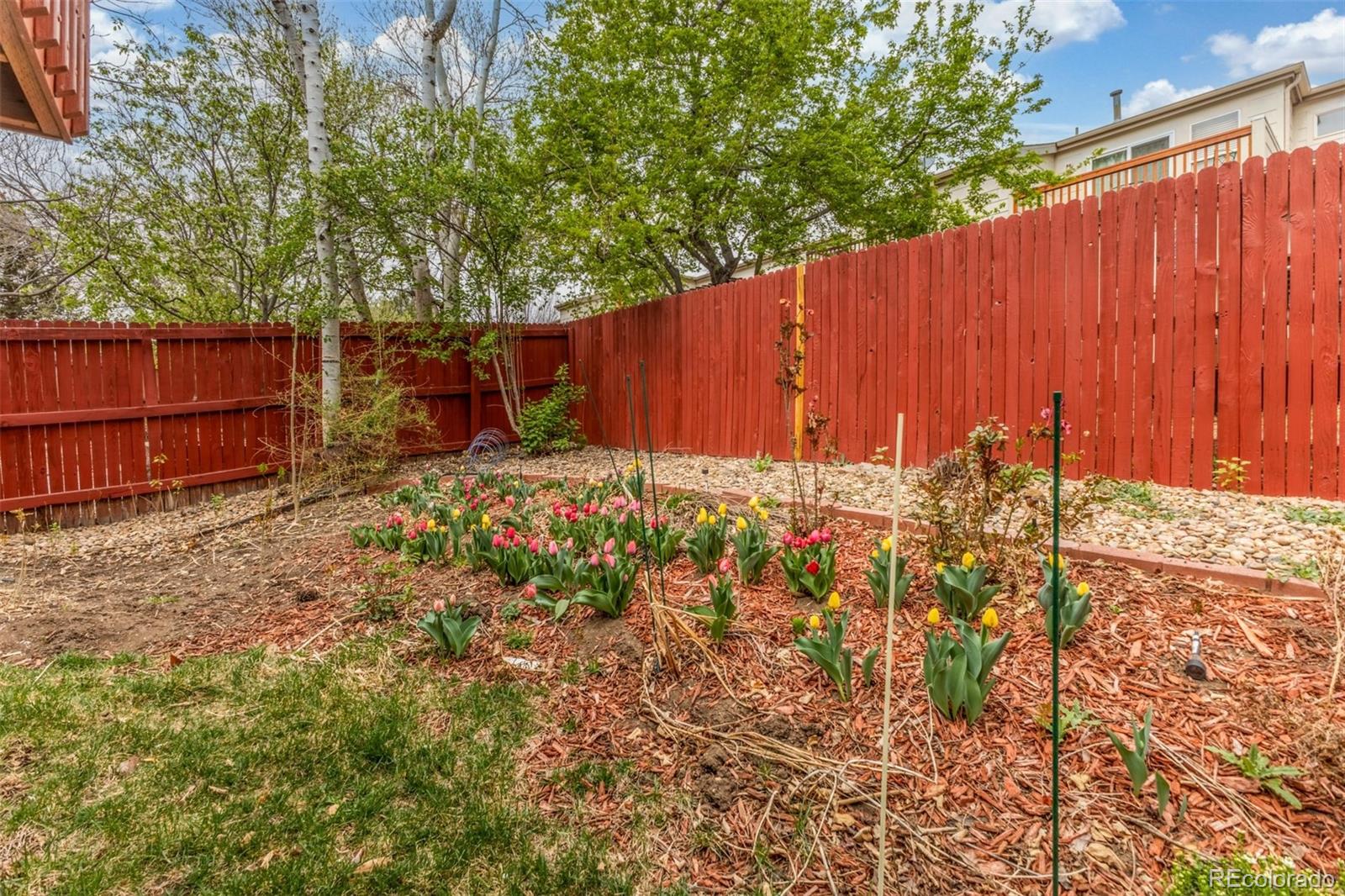 MLS Image #36 for 1958 s carr street,lakewood, Colorado