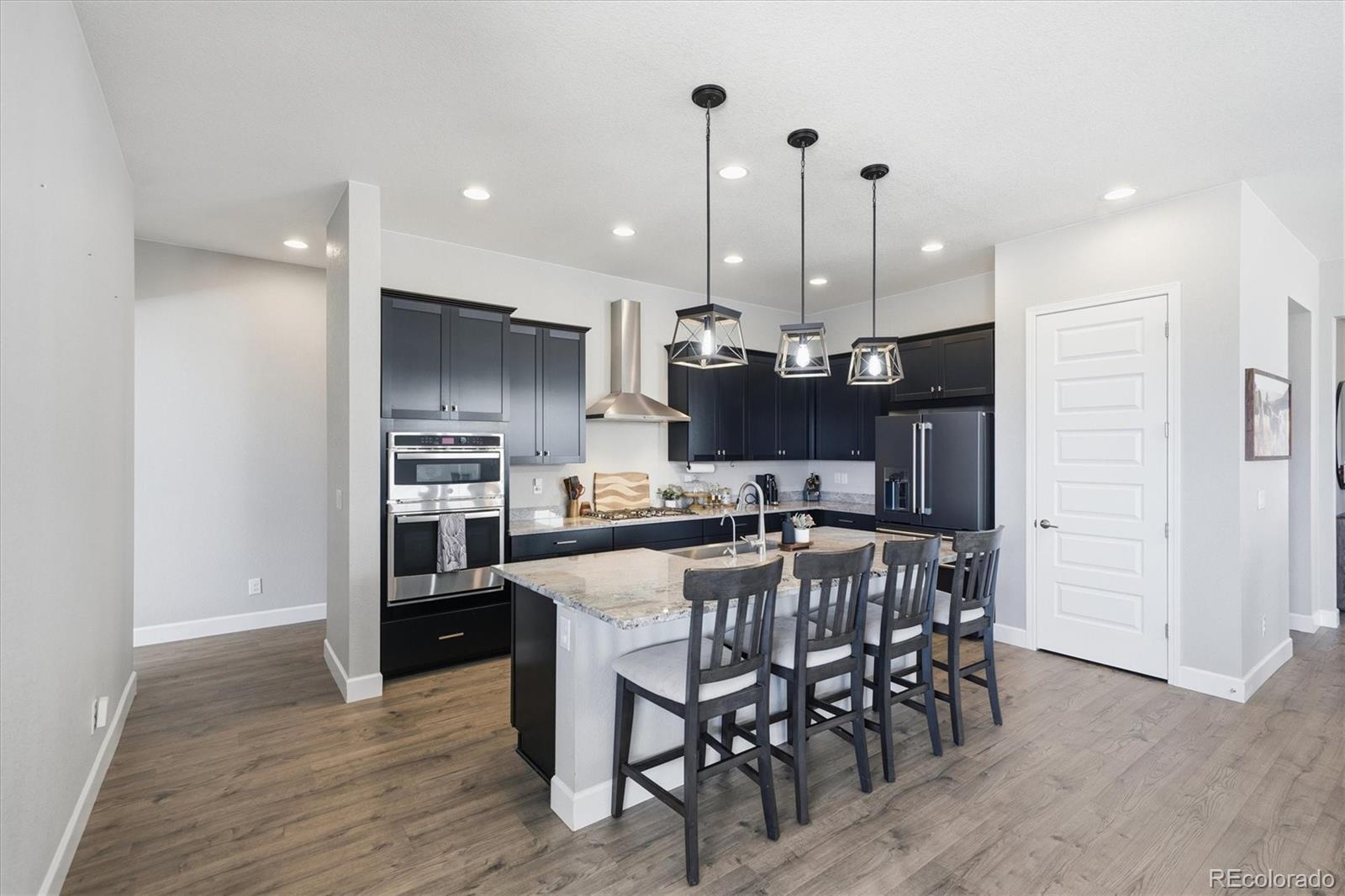 MLS Image #16 for 3258  carabiner street,castle rock, Colorado