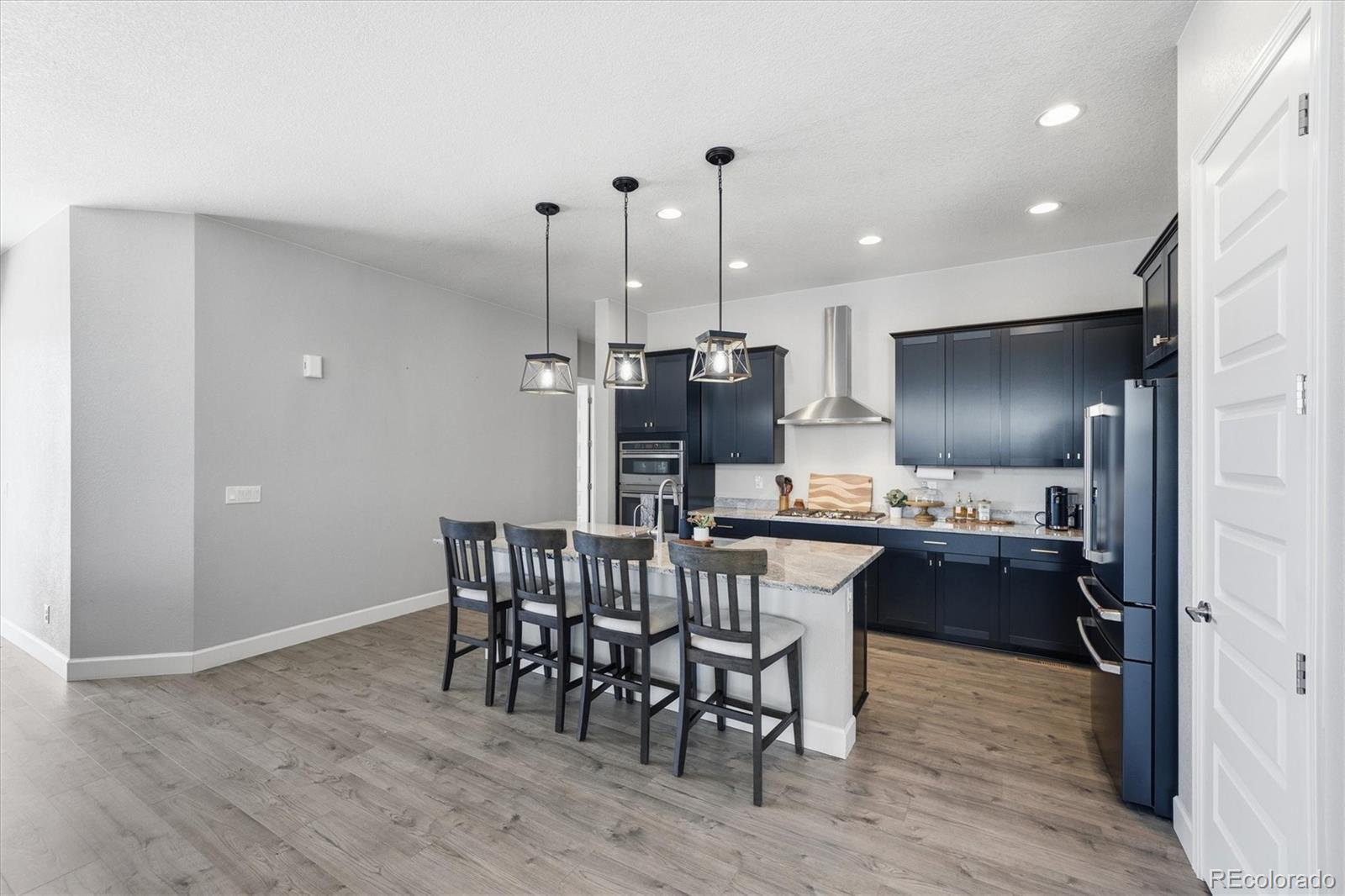 MLS Image #17 for 3258  carabiner street,castle rock, Colorado