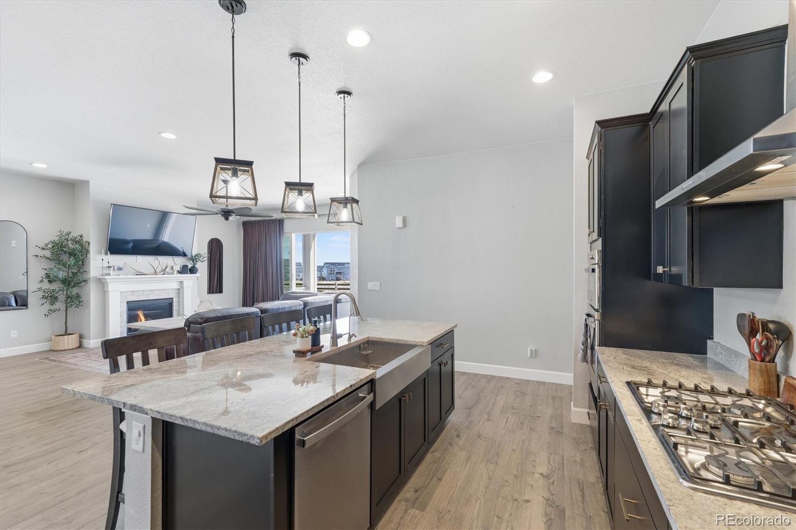 MLS Image #18 for 3258  carabiner street,castle rock, Colorado