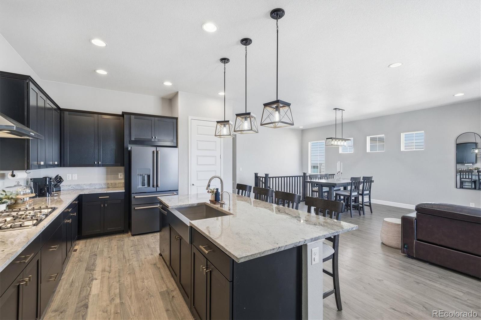 MLS Image #20 for 3258  carabiner street,castle rock, Colorado