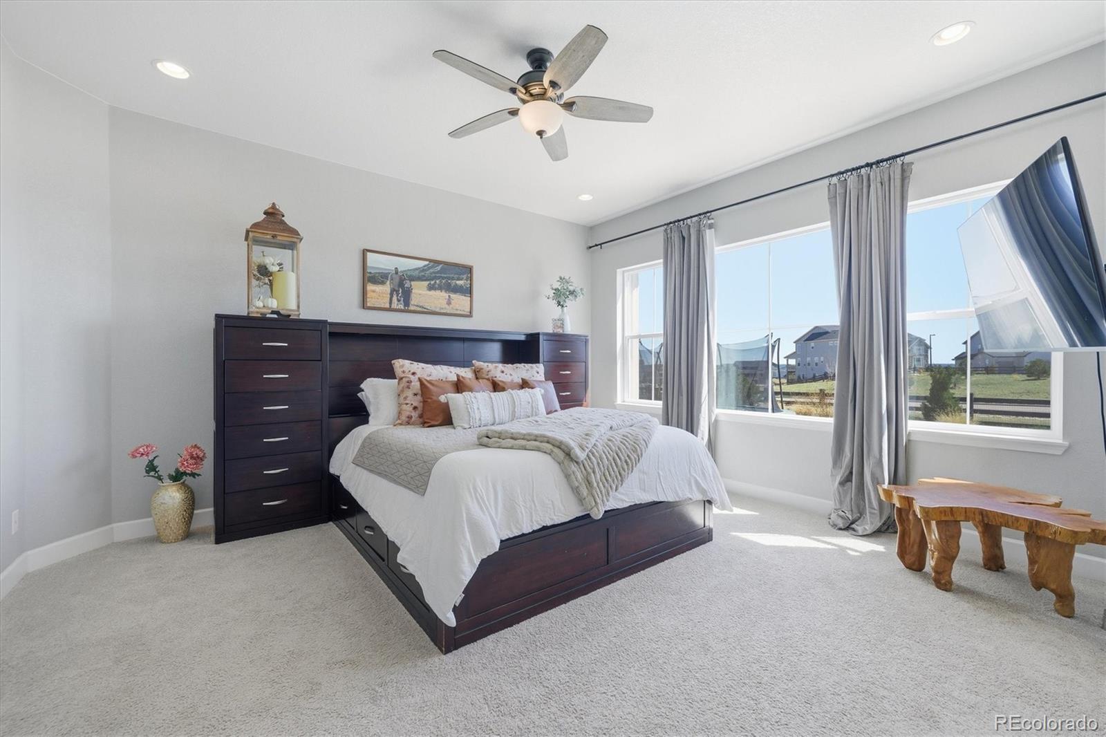 MLS Image #21 for 3258  carabiner street,castle rock, Colorado