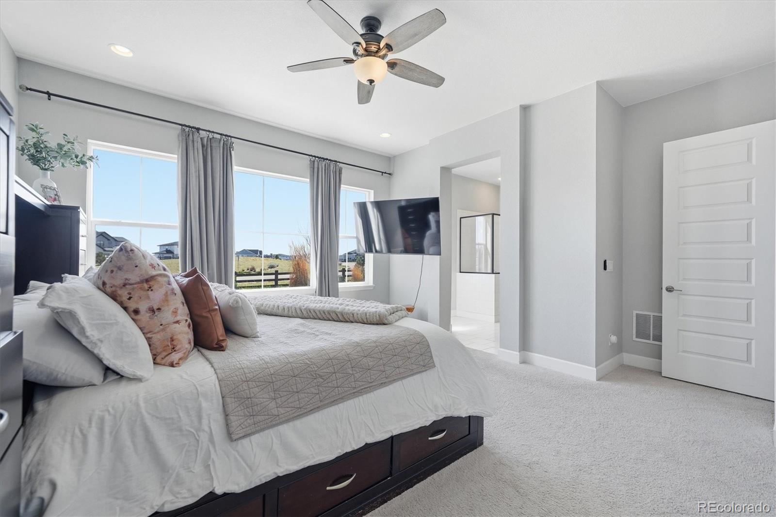 MLS Image #22 for 3258  carabiner street,castle rock, Colorado
