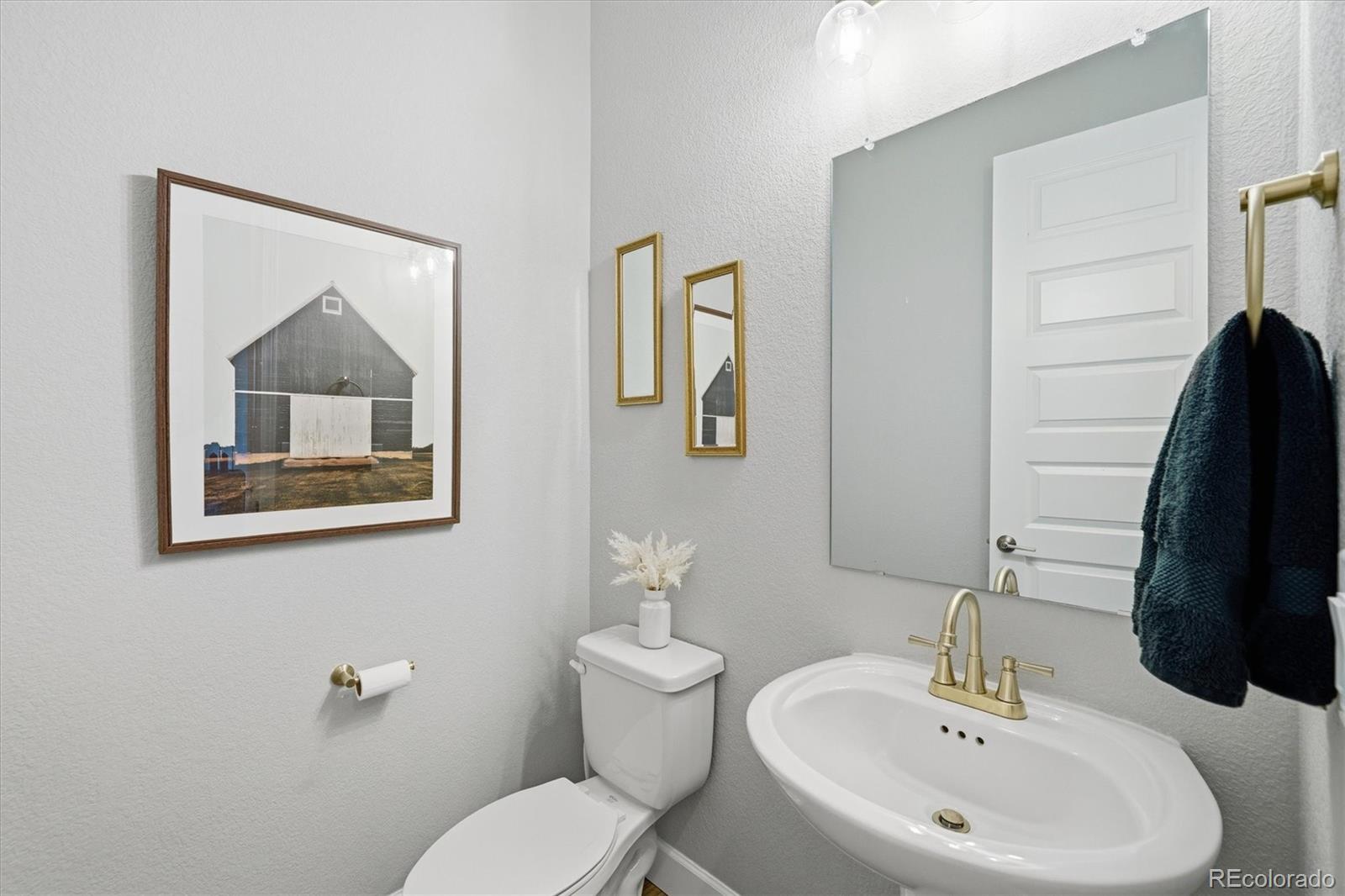 MLS Image #27 for 3258  carabiner street,castle rock, Colorado